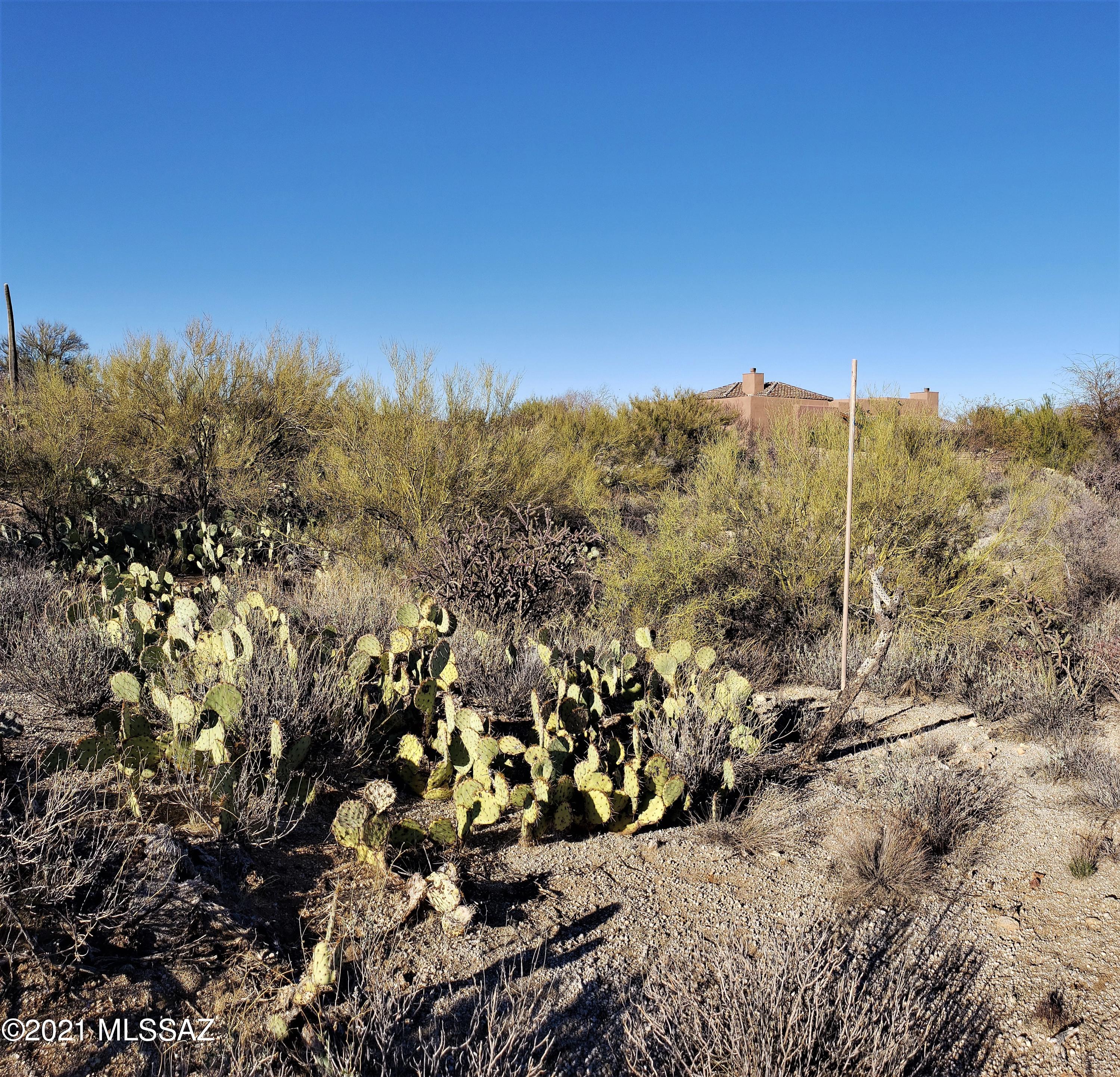 Honey Bee Ridge(The Estates At) - Land