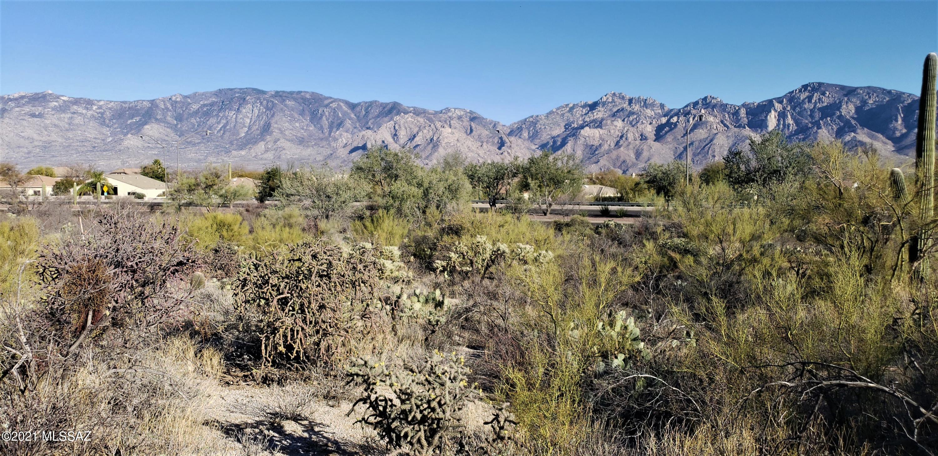 Honey Bee Ridge(The Estates At) - Land
