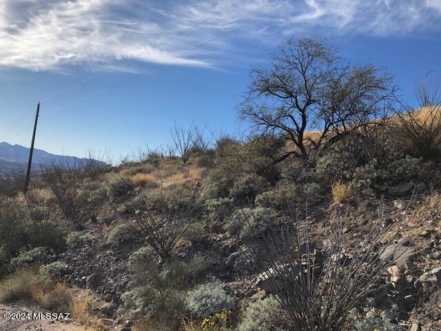 Rio Rico Ranchettes 17 - Land