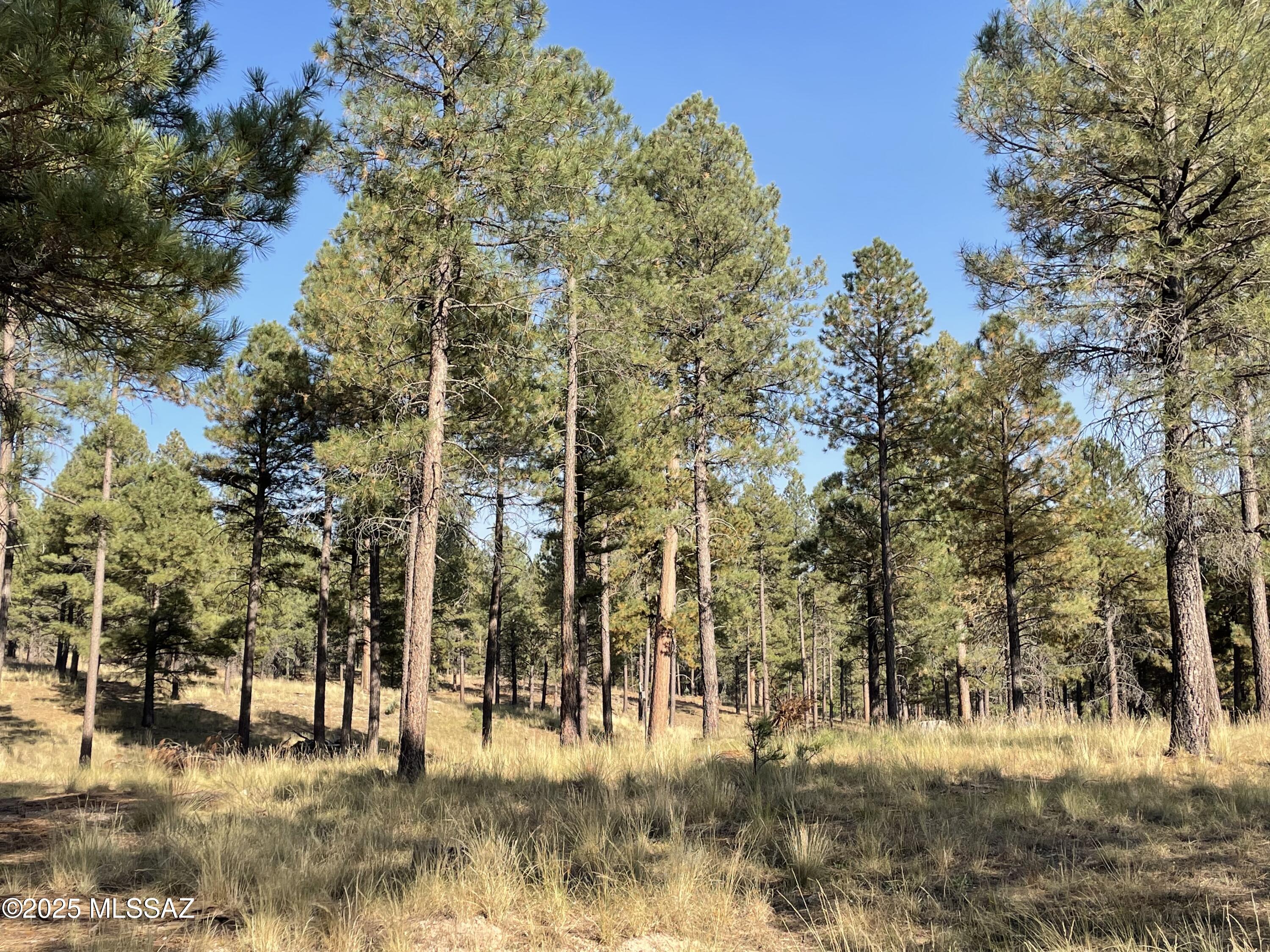 REMARKABLE, RARE OPPORTUNITY! FULLY IMPROVED! 11.21 ACRES NOW AVAILABLE at the highly coveted Happy Jack Ranch next to the Happy Jack Lodge, Restaurant and Bar. Spectacular, heavily wooded rolling parcel with majestic ponderosas set at 6,900 feet with real climate relief from the Phoenix valley but only a 2-hour drive away! Great access near the paved Lake Mary Road. This is the only larger acreage, improved property in the Happy Jack area that you can camp on with your RV prior to construction or anytime! There is an excellent private well and septic system already installed. The seller has spent 2 years of hard work and great expense to get this property ready for your home and/or RV site. This sale includes APS power(400A) panel brought into the building site(s) underground, not just in the access road. There is also a Generac 24kw back-up propane powered generator. Full architect drawn plans for a beautiful home and power/water/septic hookup for your RV's are also included. There are windows and interior and exterior doors and more in a Conex box on the property that conveys. It even has its own address! Seller also has a phenomenal 5th wheel and versatile tractor available with a separate Bill of Sale - (EVERYTHING else conveys!) Bring your horses and your toys! This property is ready for you to enjoy the high country right now this summer! Don't miss out!