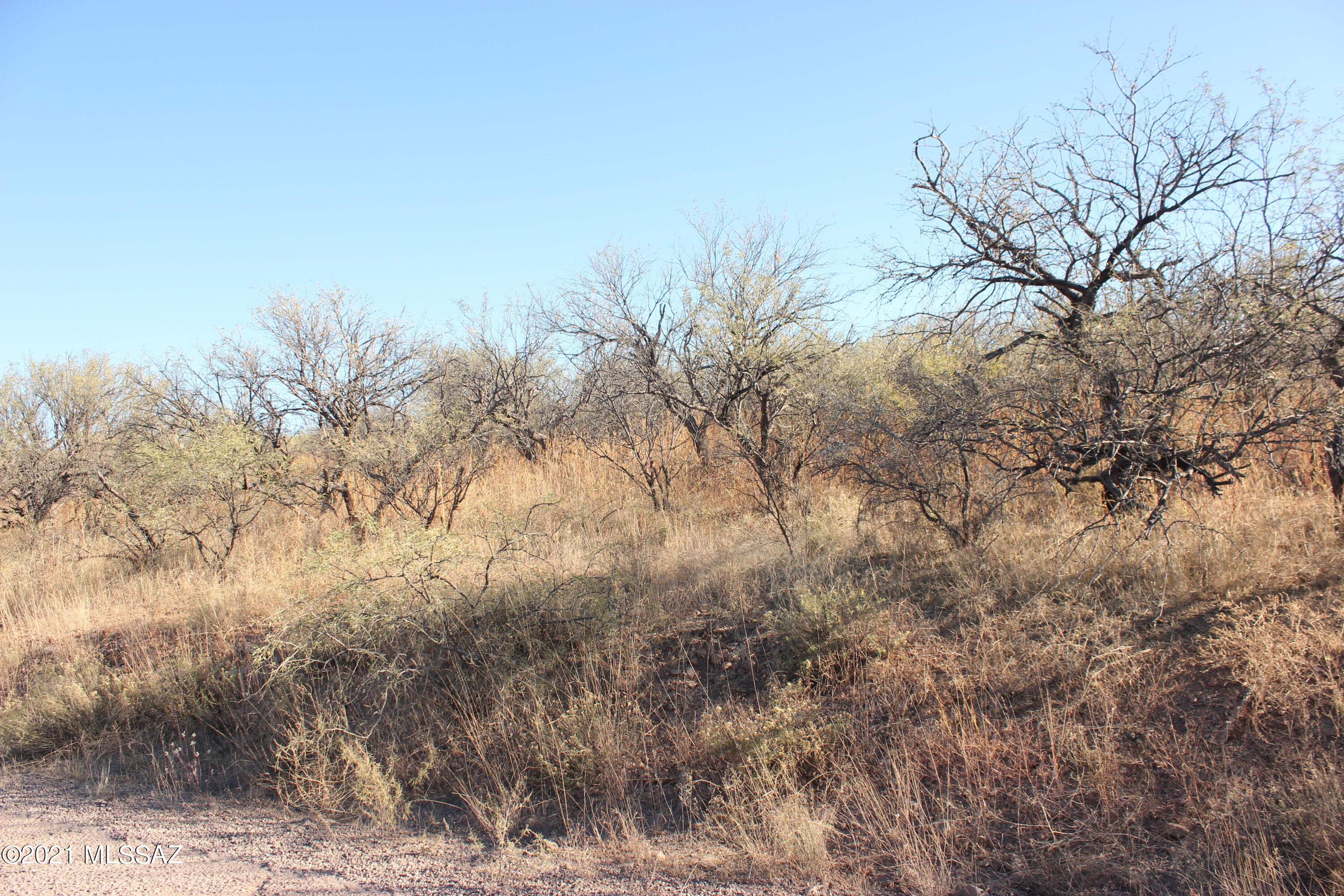 Rio Rico Estates 4 - Land
