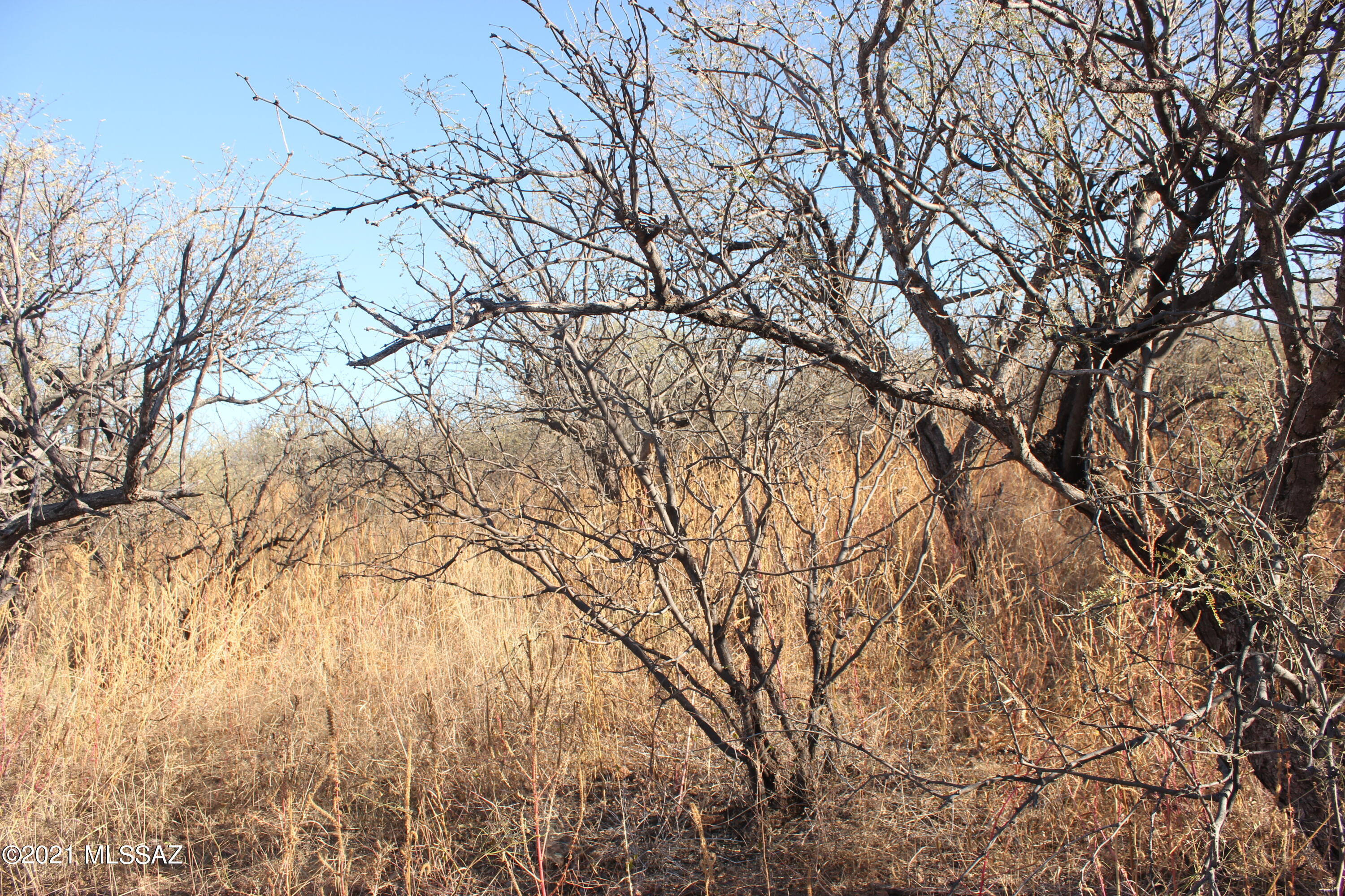 Rio Rico Estates 4 - Land