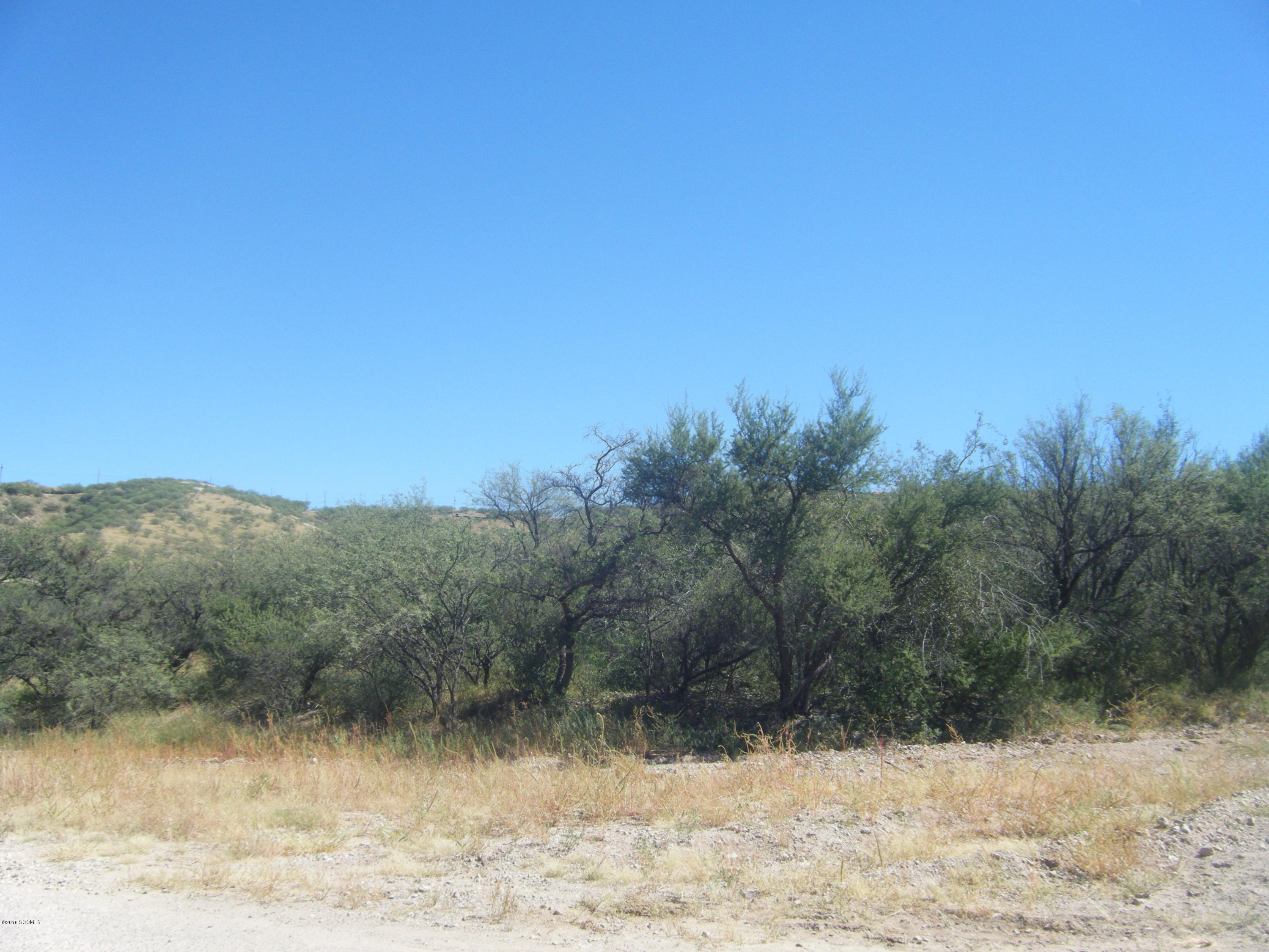 Rio Rico Estates 6 - Land
