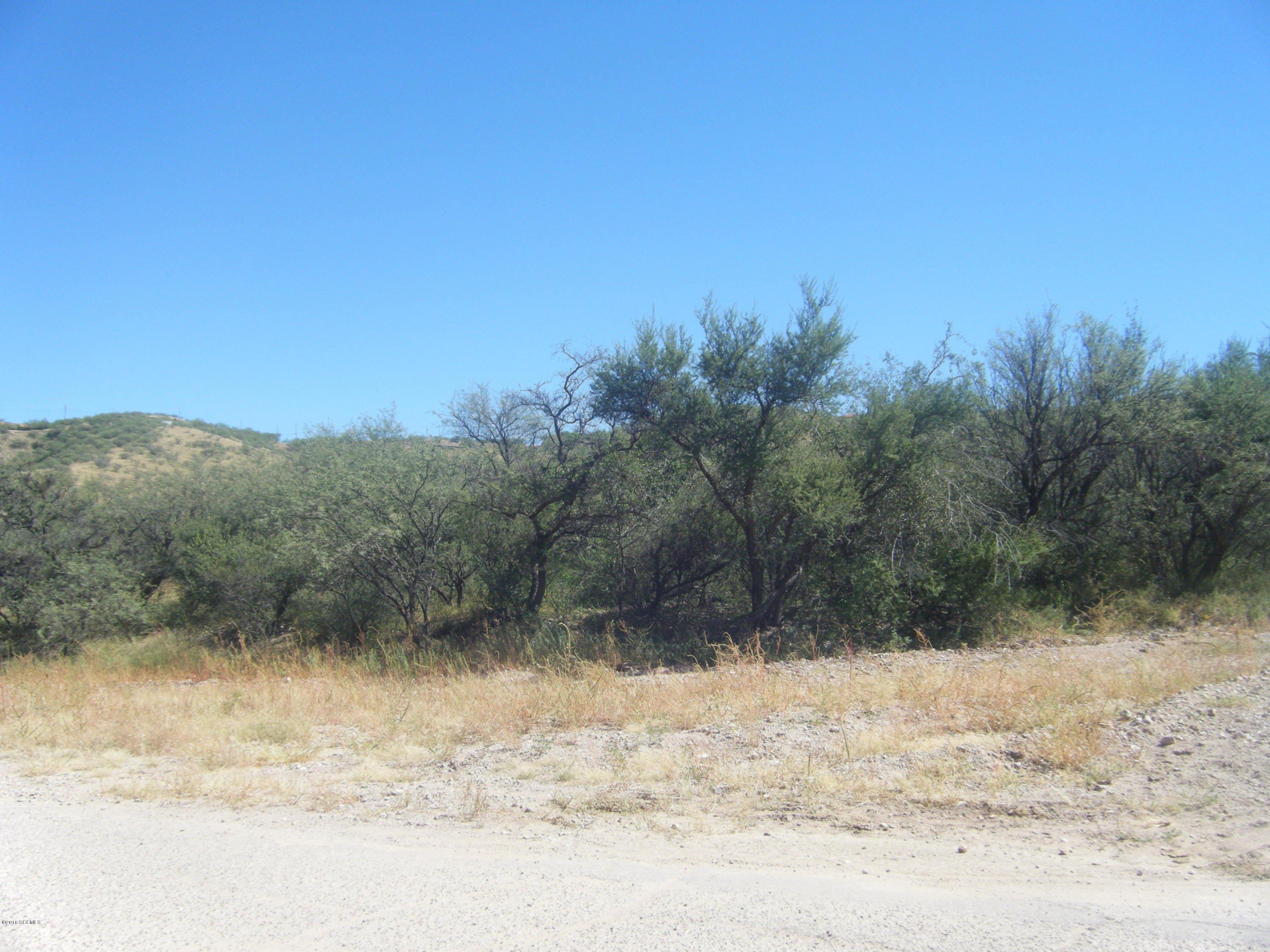 Rio Rico Estates 6 - Land