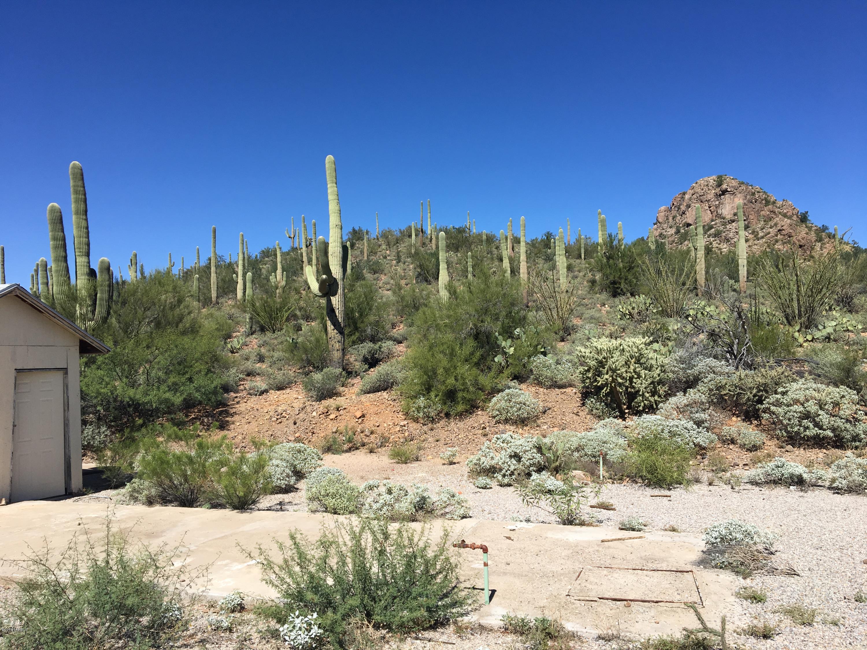 If your looking for views of the Saguaro National park from the luxury of your front door then this is it! Hillside location, elevated above Picture Rocks Rd. Situated for beautiful Arizona sunrises, sunsets, and National Park views galore! This is one of those unique lots, you don't just find anywhere! Take a look.
