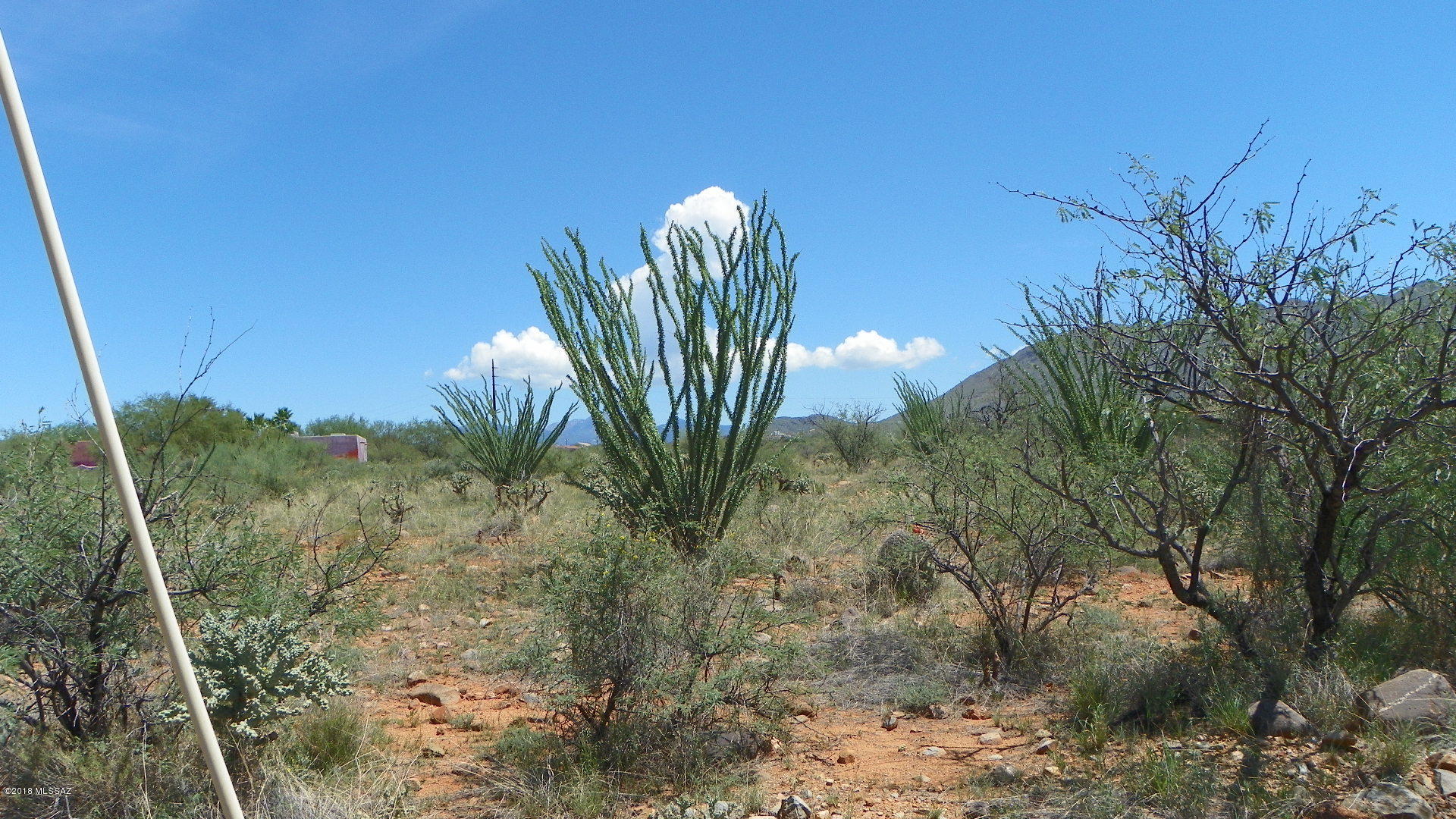 Rio Rico Ranchettes 17 - Land