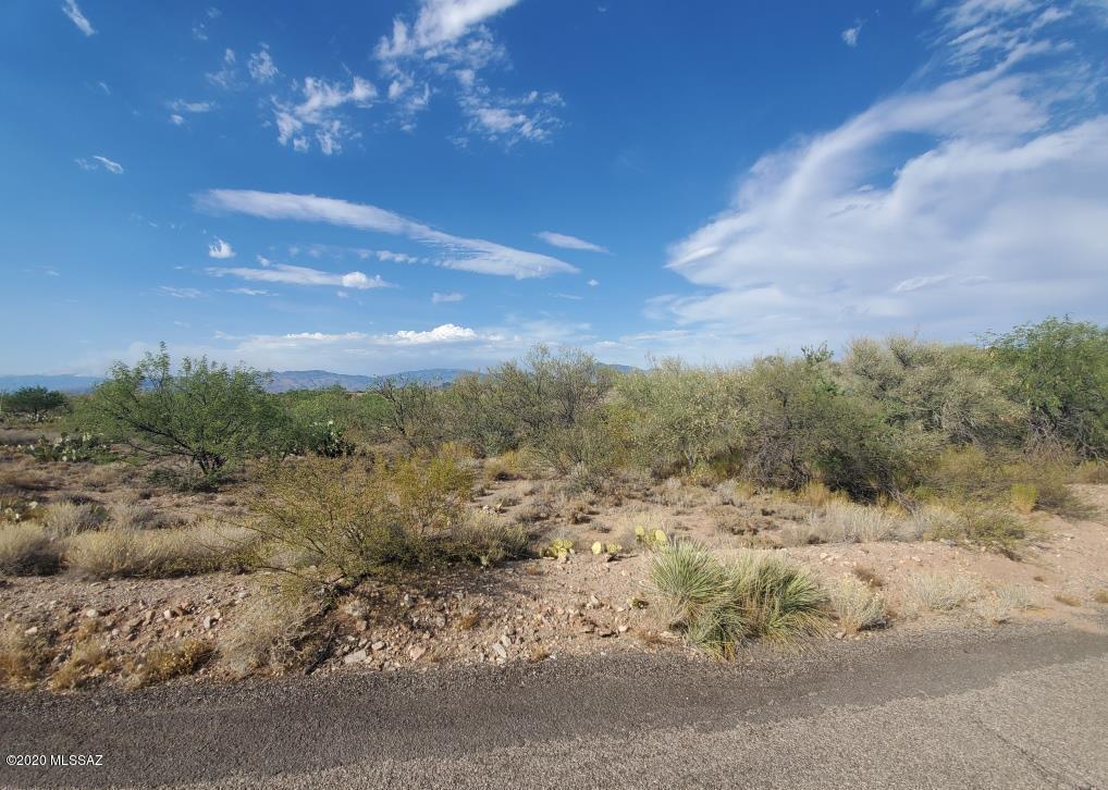 Rincon View Estates (1-87) - Land