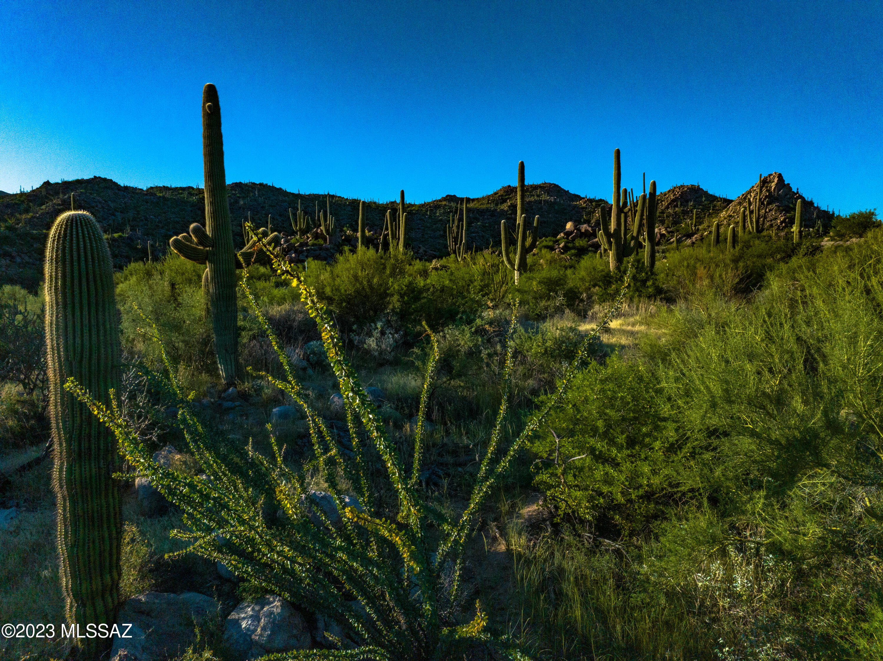 Stone Canyon VII (404-485) - Land