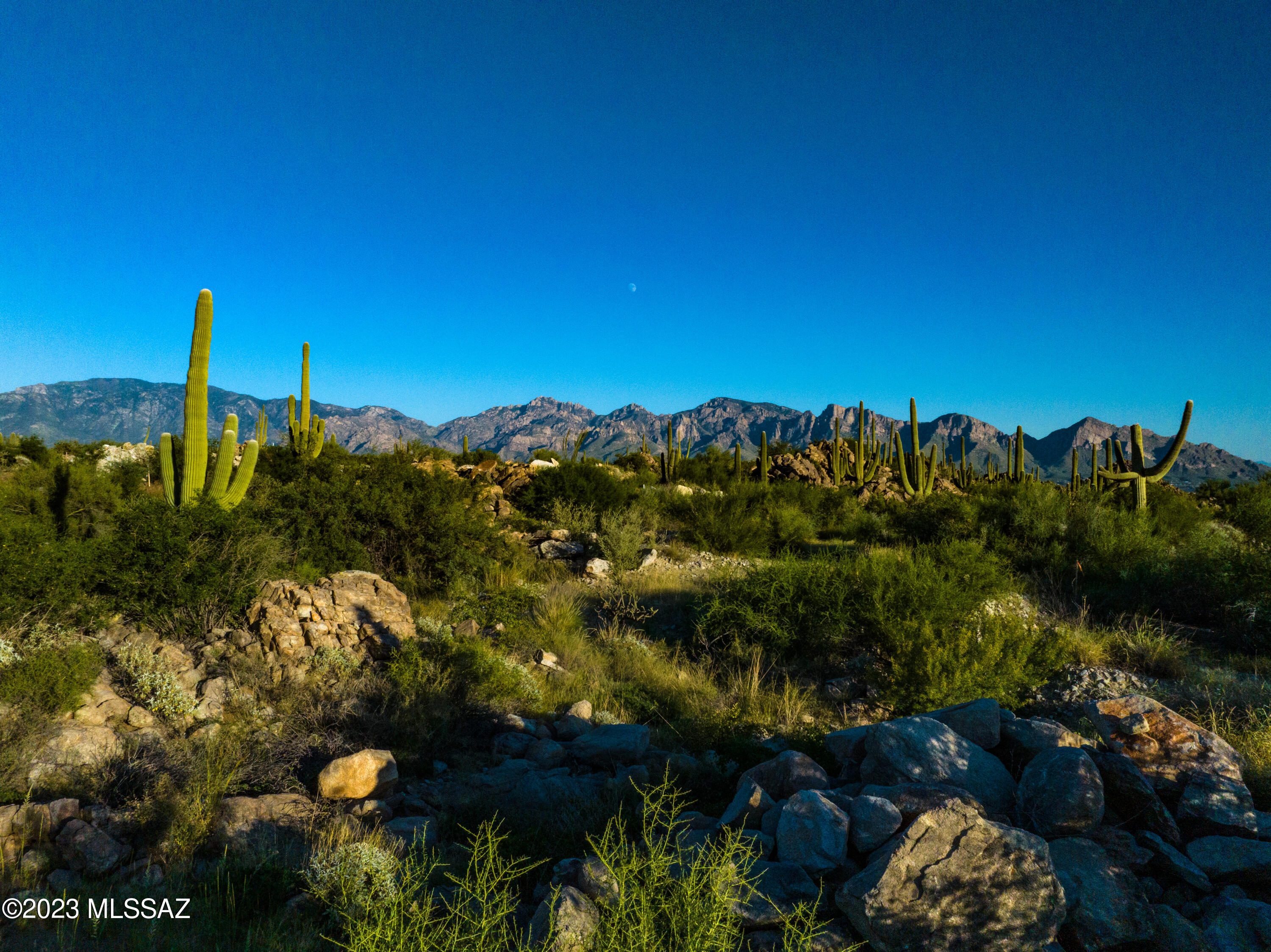 Stone Canyon VII (404-485) - Land