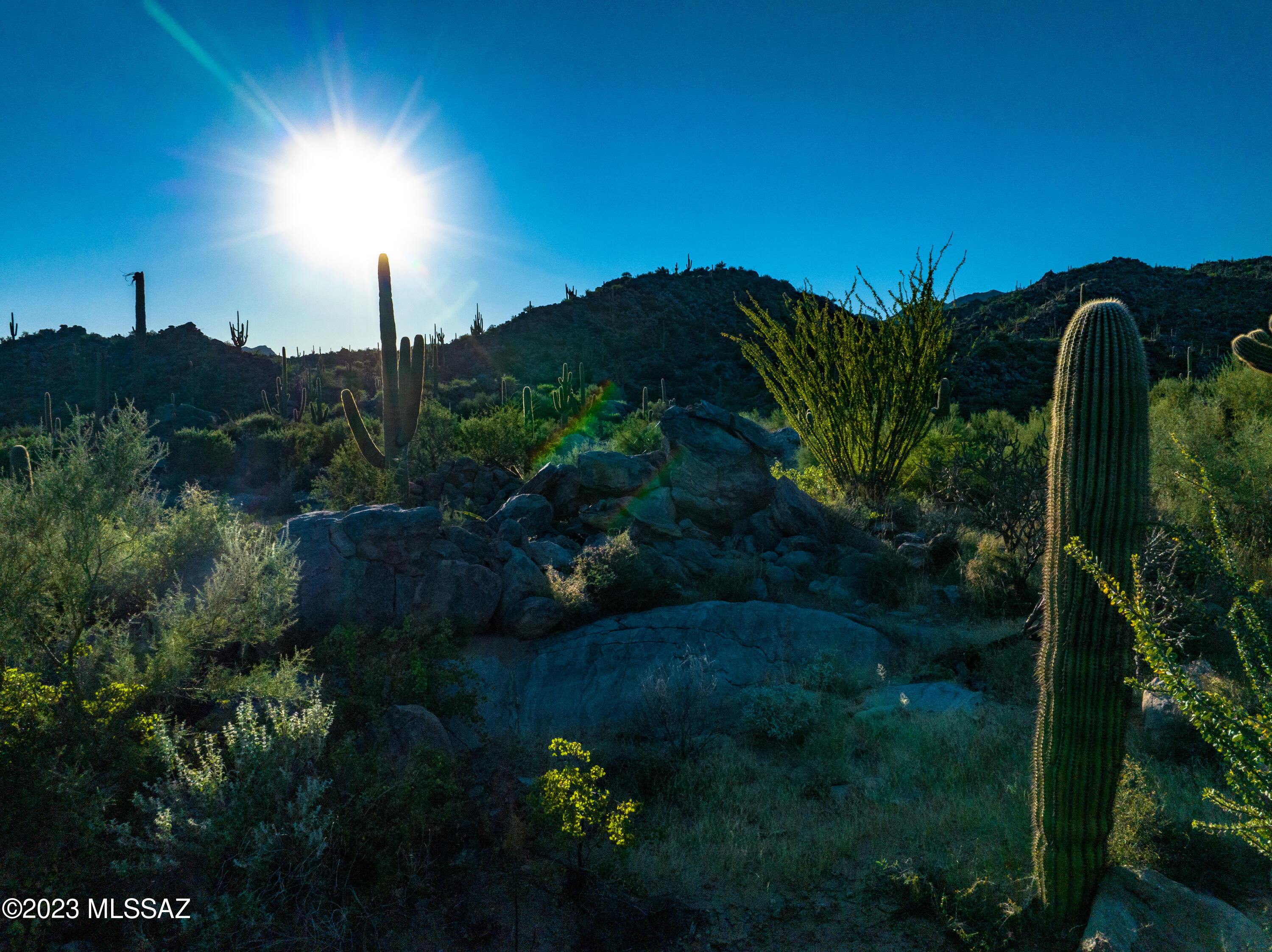 Stone Canyon VII (404-485) - Land