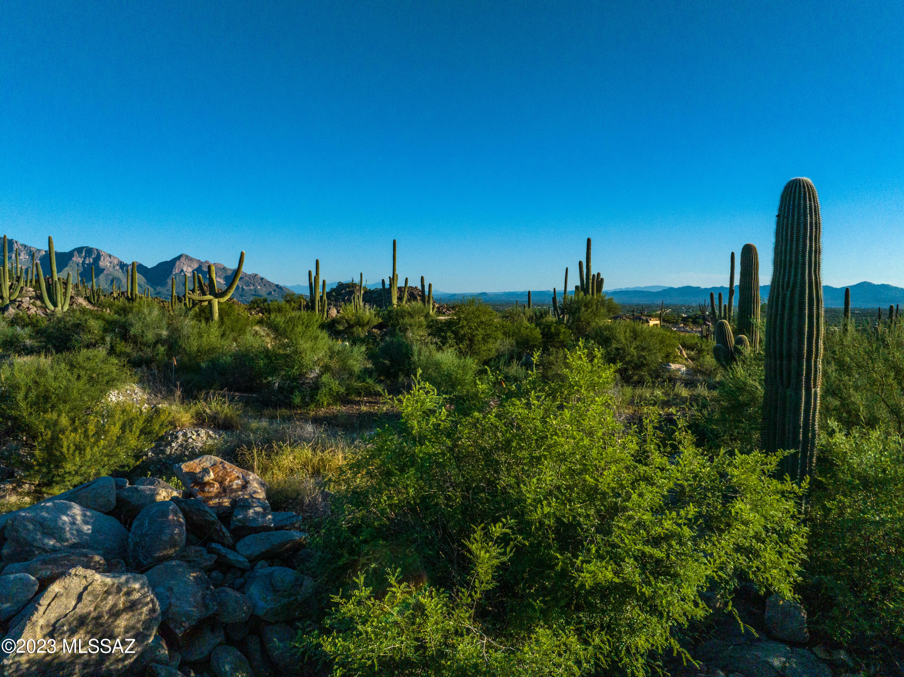 Stone Canyon VII (404-485) - Land