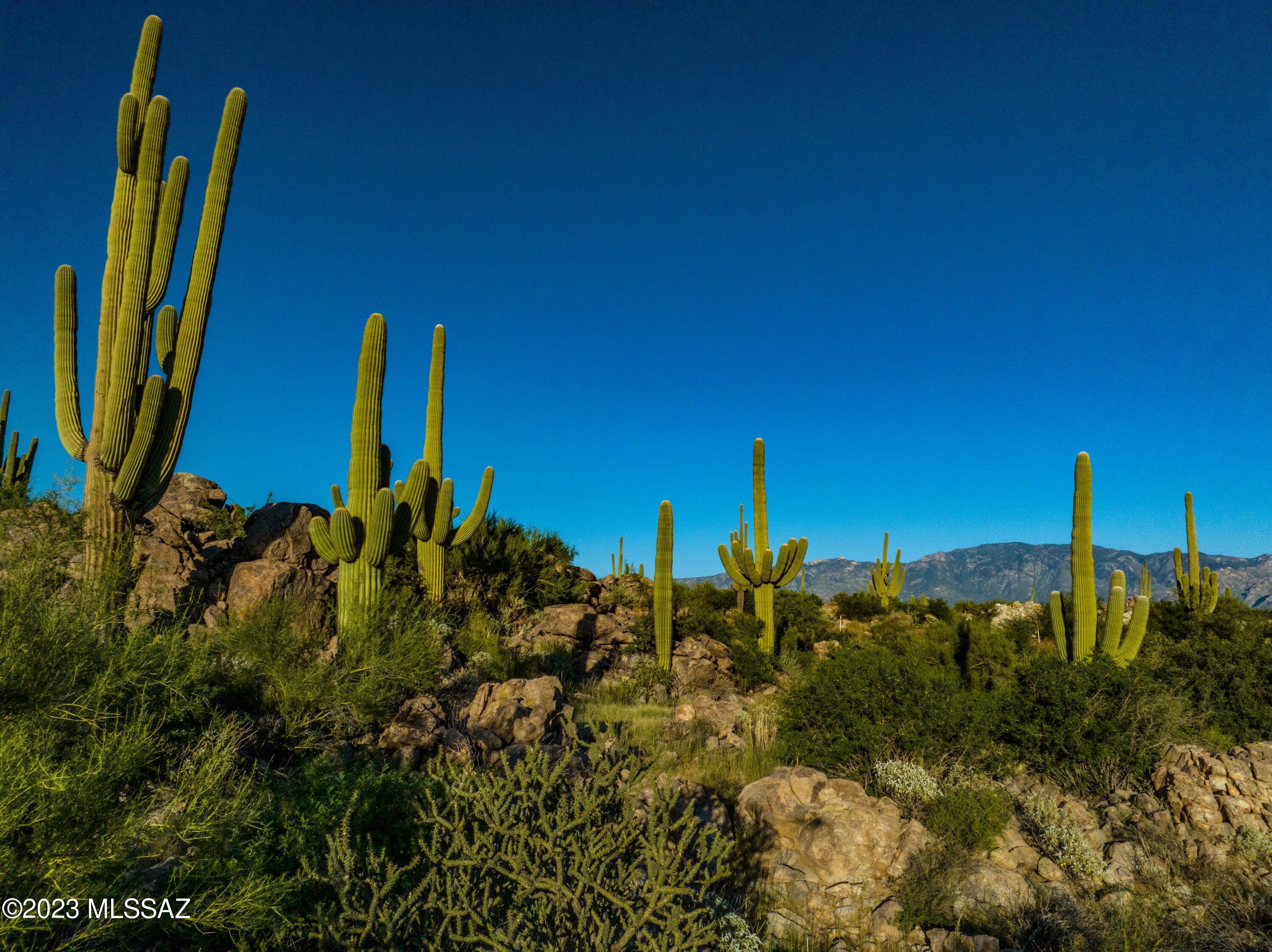 Stone Canyon VII (404-485) - Land