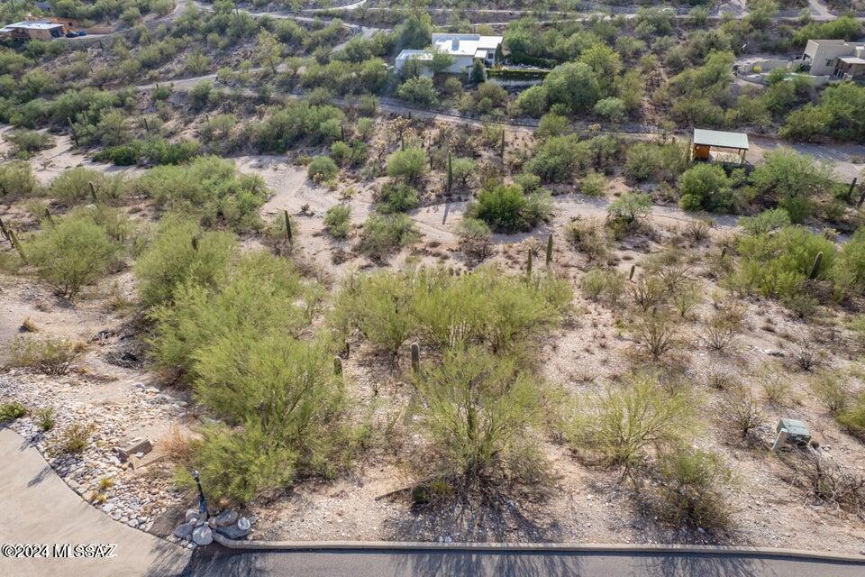 La Buena Vida Estates (74-110) - Land