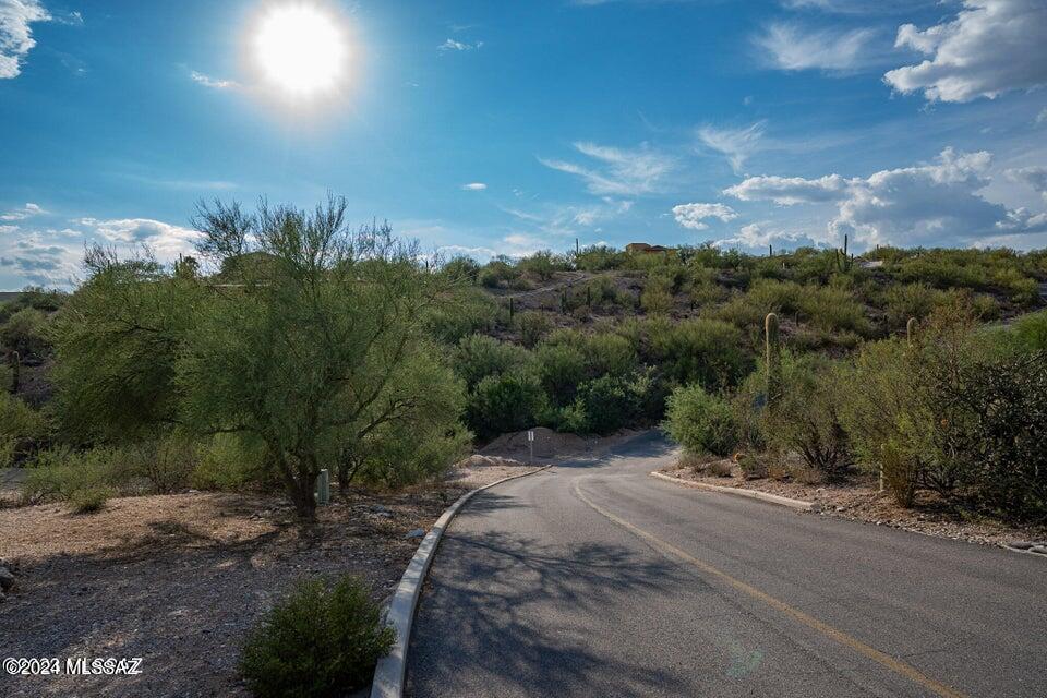 La Buena Vida Estates (74-110) - Land