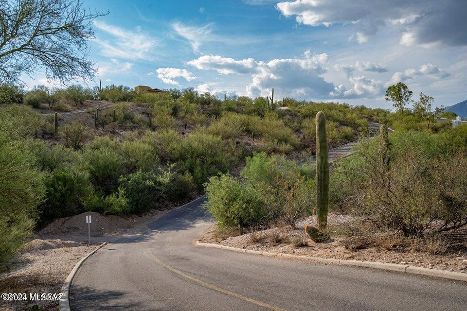 La Buena Vida Estates (74-110) - Land