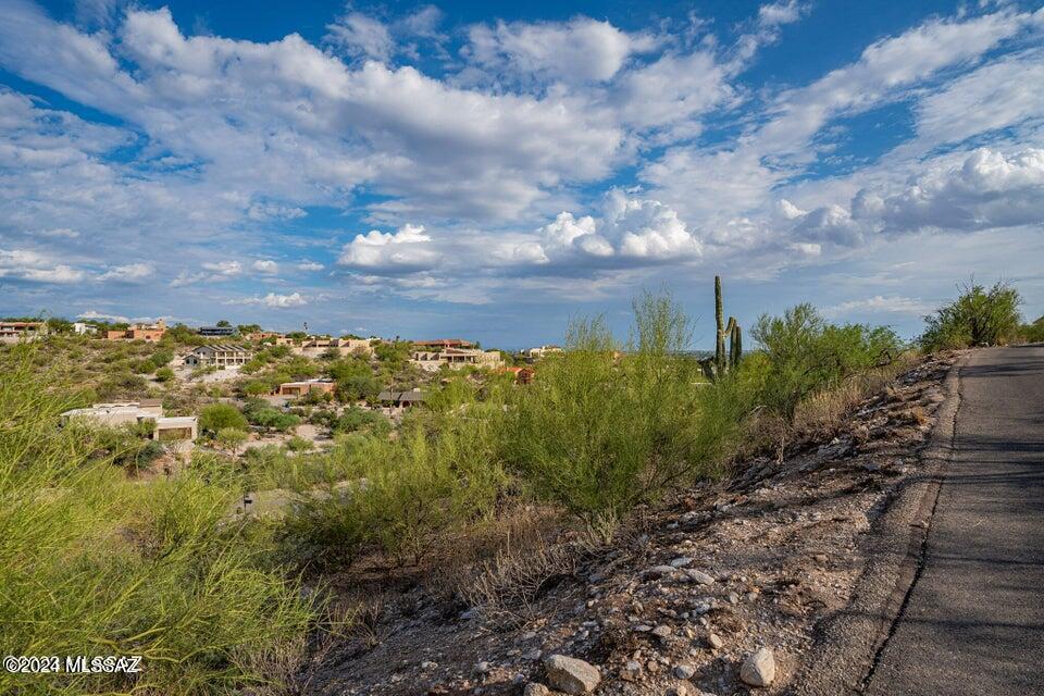 La Buena Vida Estates (74-110) - Land