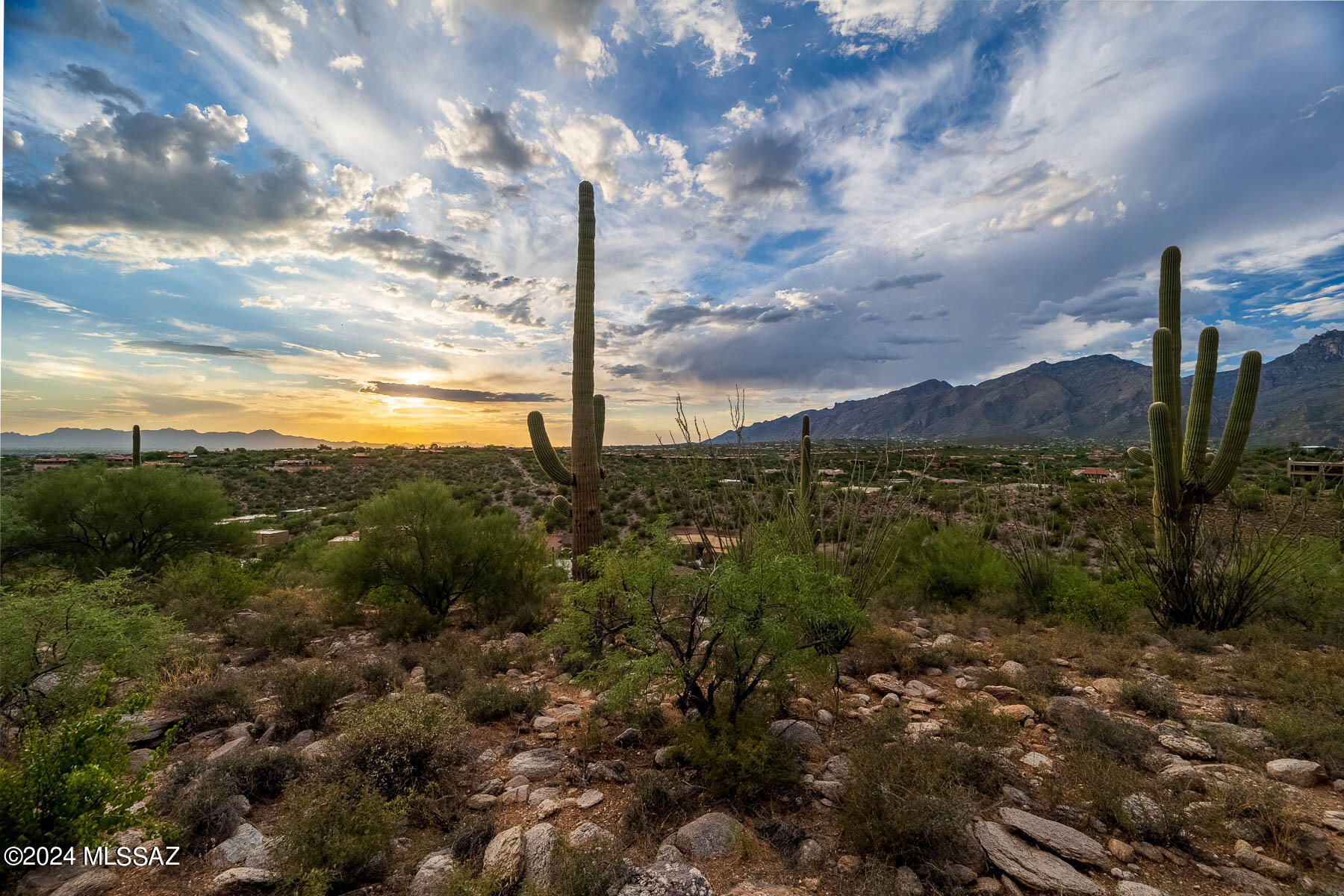Canyon Ridge (1-40) - Land