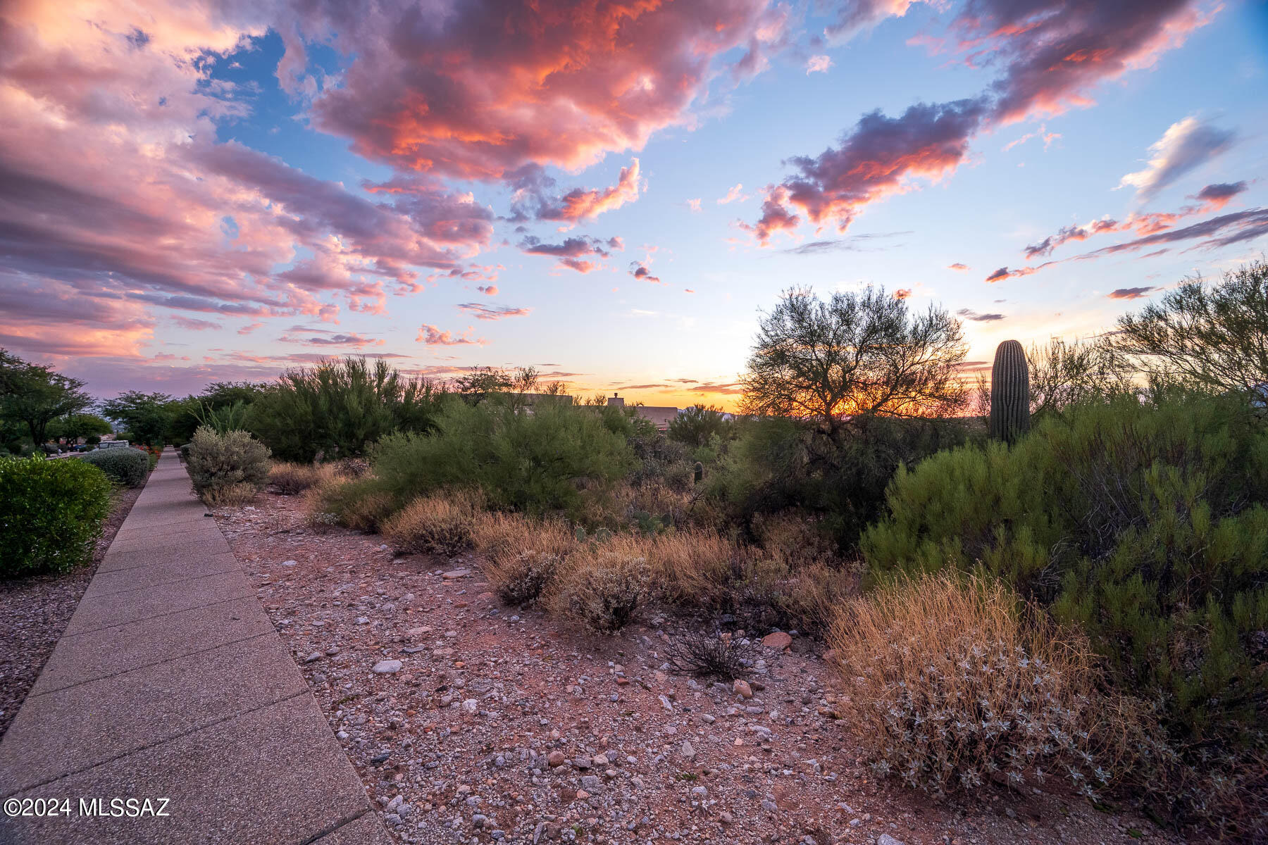 Canyon Ridge (1-40) - Land