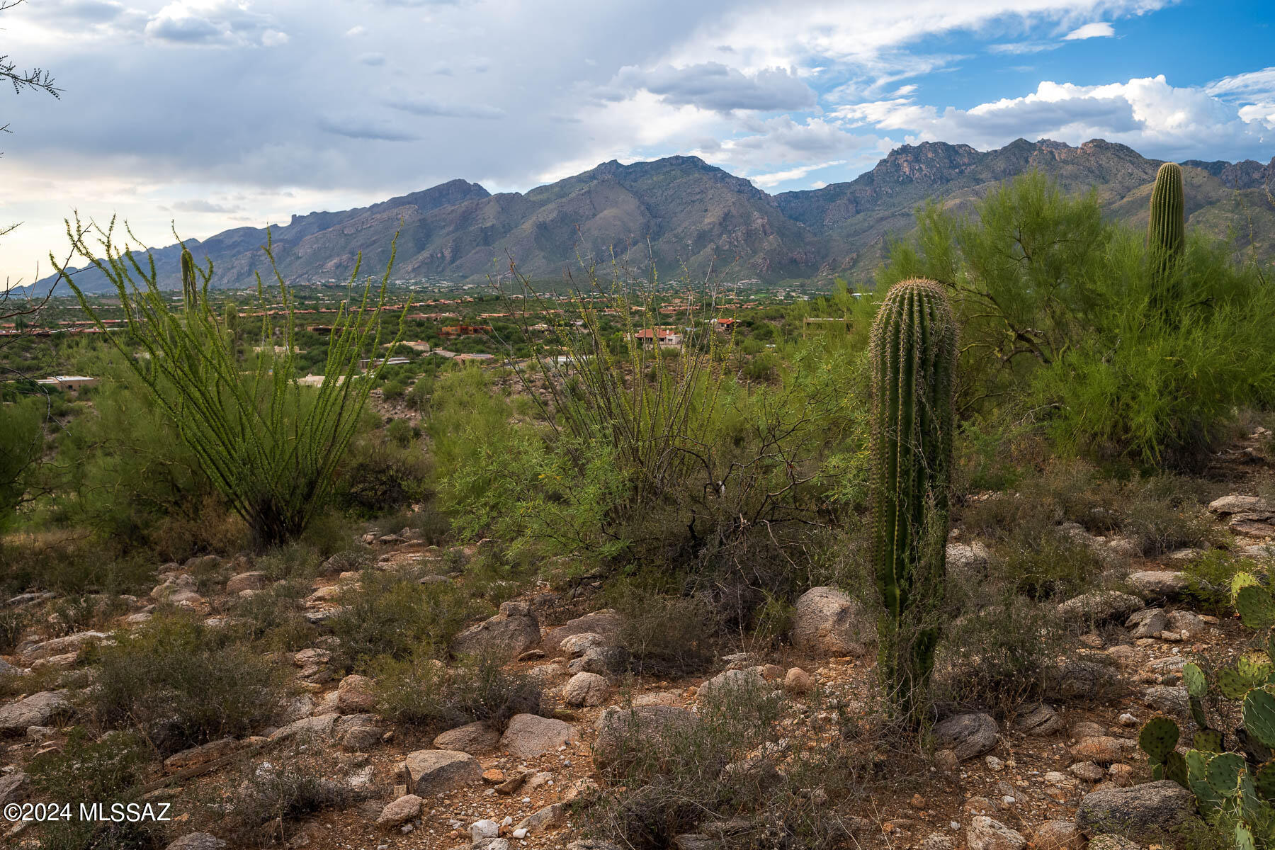 Canyon Ridge (1-40) - Land