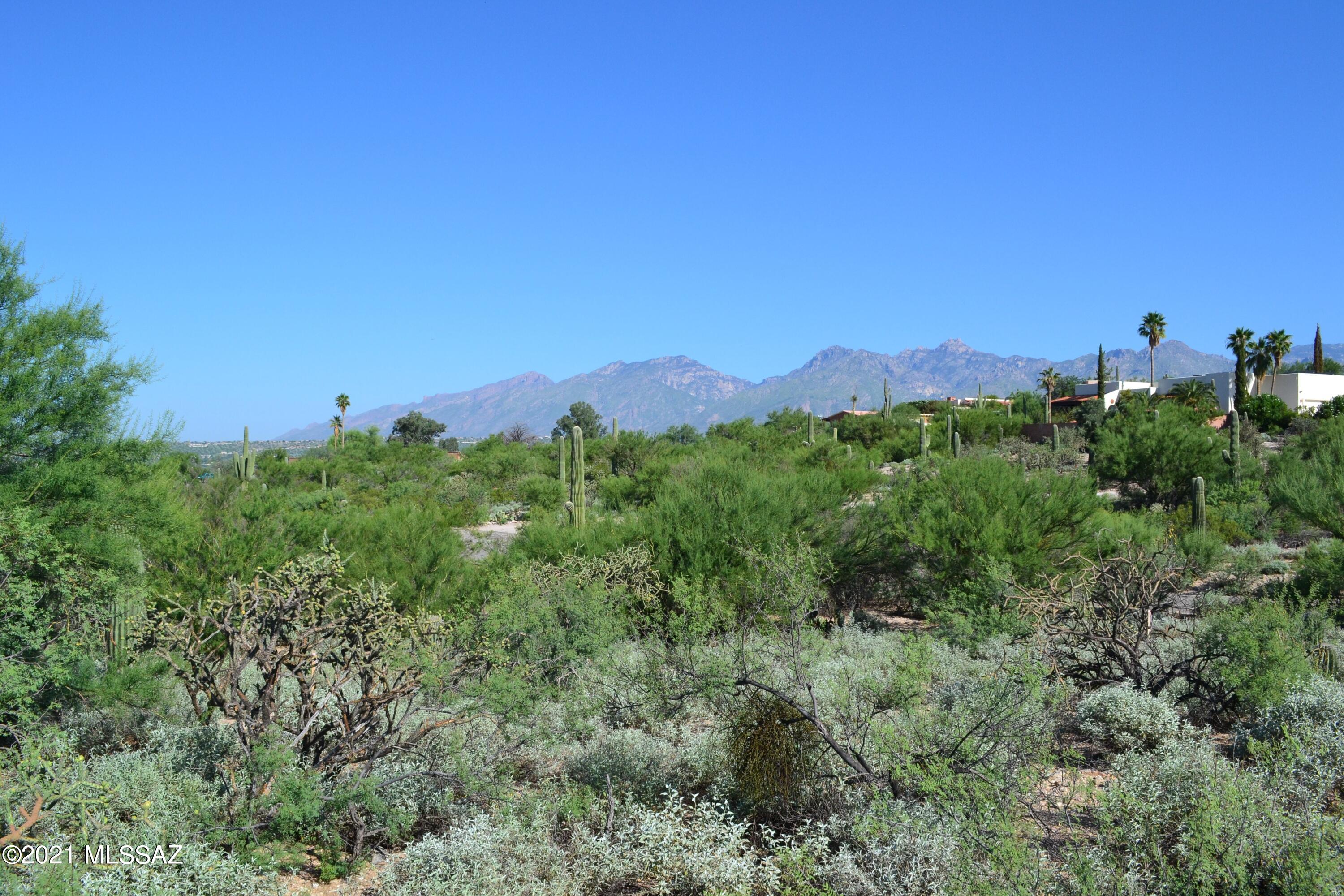 Large CUSTOM HOME SITE with SPECTACULAR VIEWS! This parcel offers amazing 360 views The views of the MOUNTAINS and CITY are BREATHTAKING. The lot has several Mature saguaros. There are property stakes for you ease of locating property boundaries. Imagine your driveway next to your neighbors to avoid the small wash out front. TEP has a pole at the top of the ridge for electric access. SWG and water are at the street. This lot is large enough for a beautiful custom home, guest house, pool and animal facilities. NO FLOOD ZONE. NO DEED RESTRICTIONS and most importantly, NO HOA! You are within a 2 minute drive to pubs, restaurants, grocery store, bank and much more. Need to cool off? Mt Lemmon is only 40 minutes away.