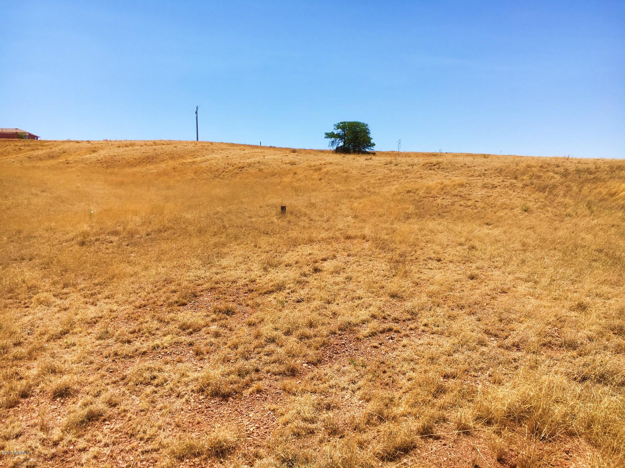 Out Of Pima County - Land