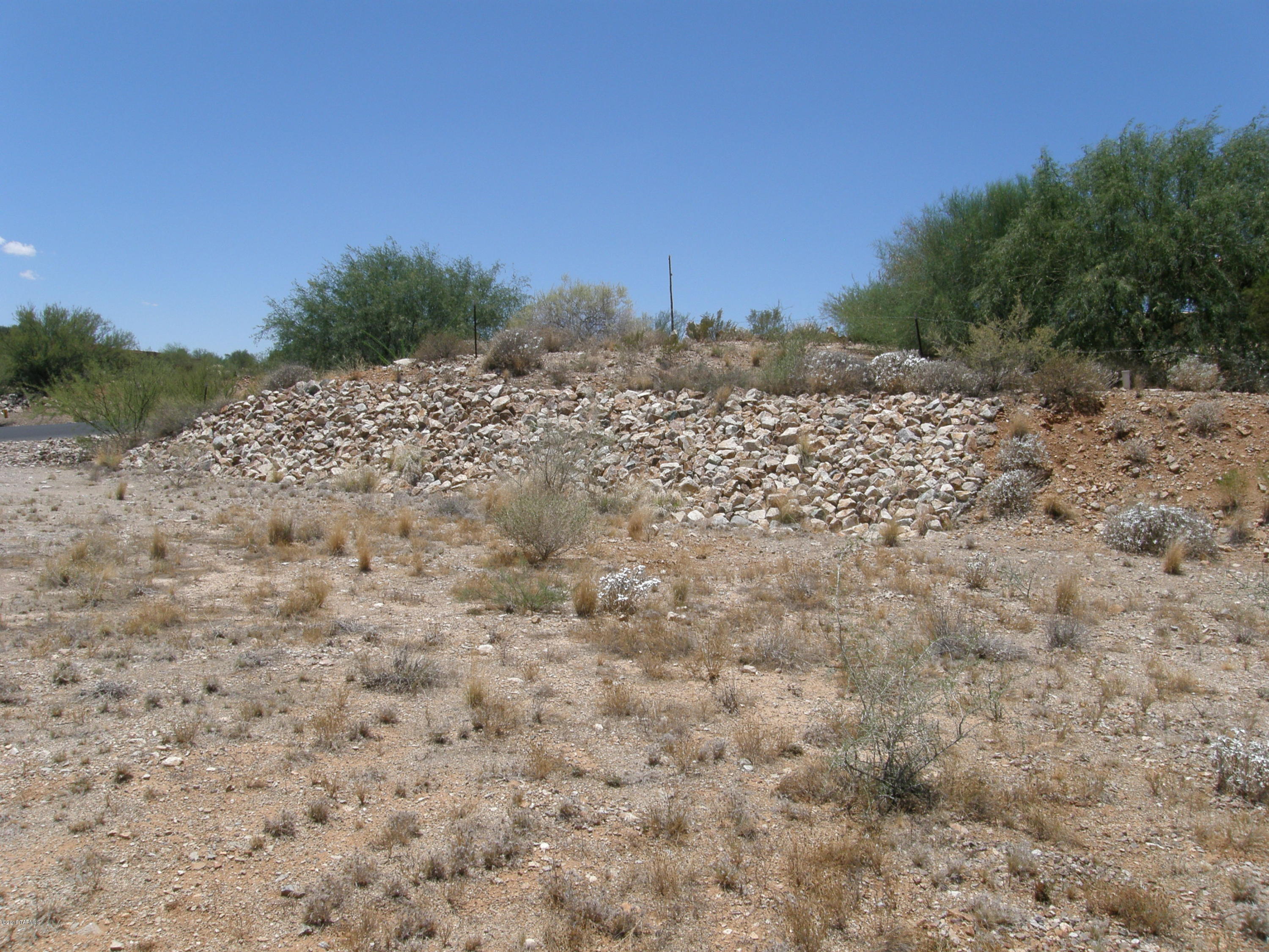 Solar Del Viejo (1-81) - Land