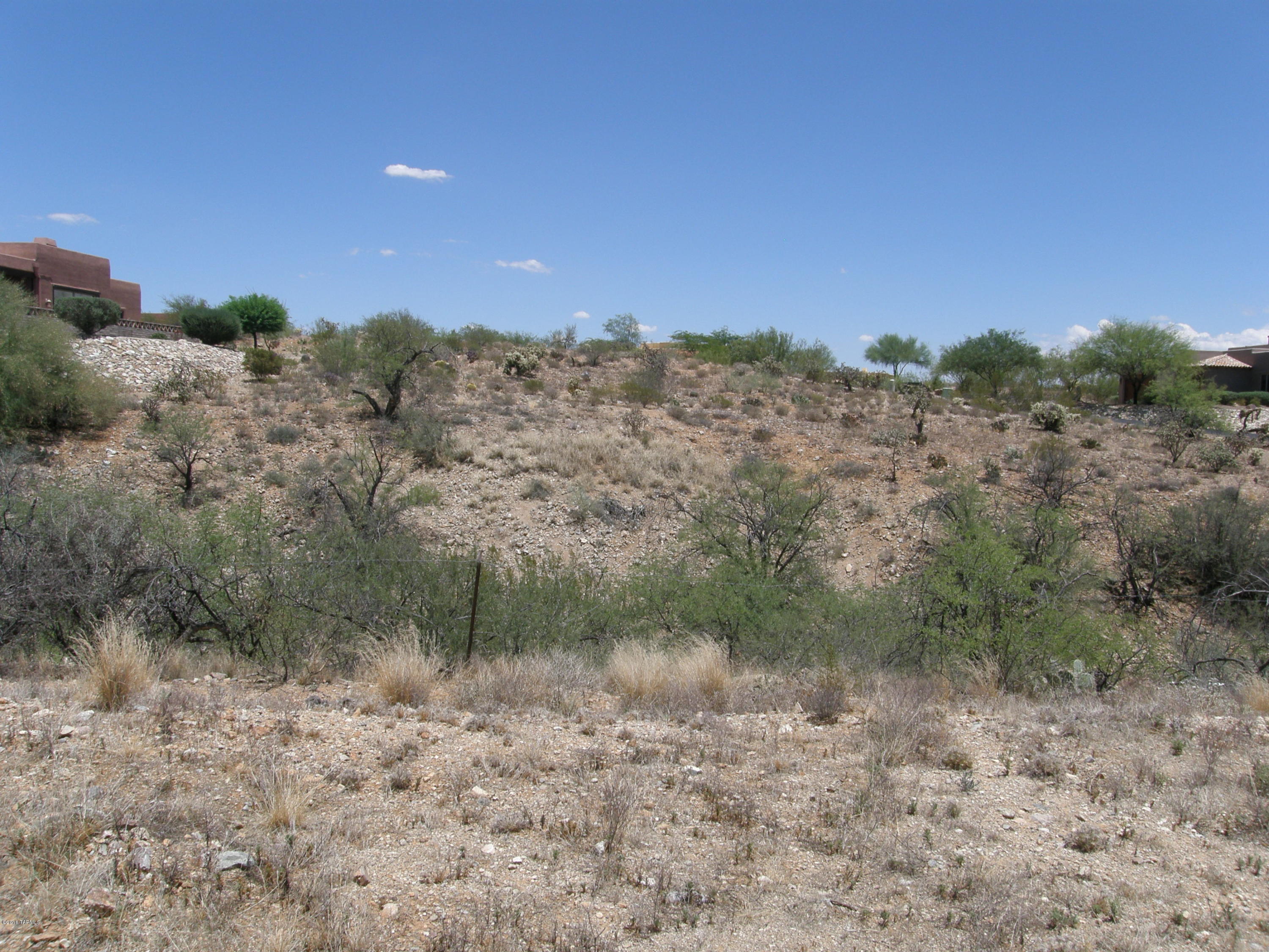 Solar Del Viejo (1-81) - Land