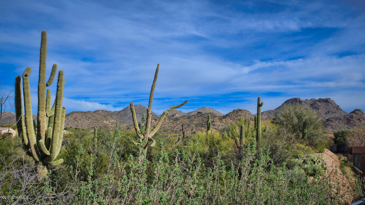 Bluffs at Dove Mountain Phase II - Residential