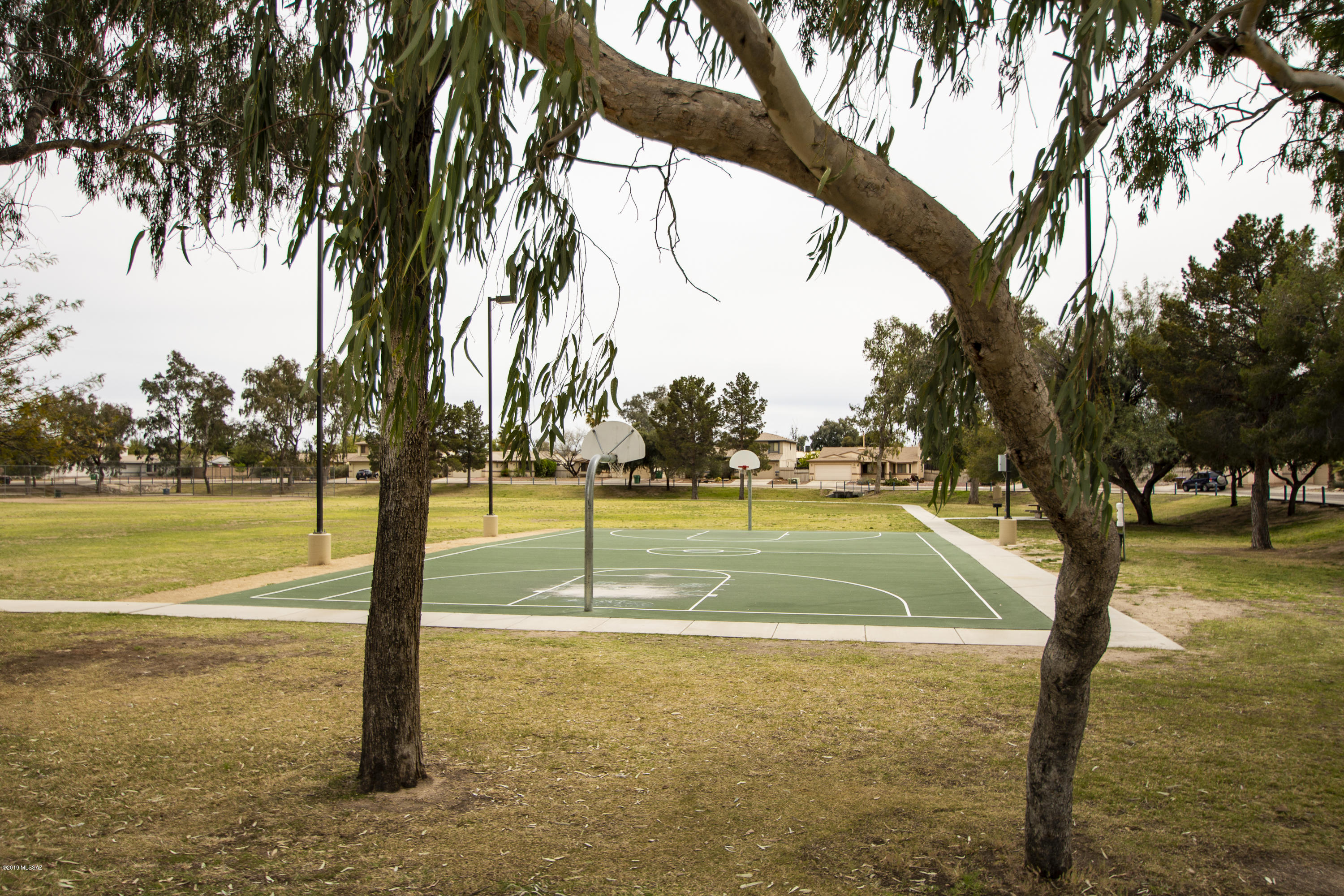 Meadowbrook (1-56) - Residential