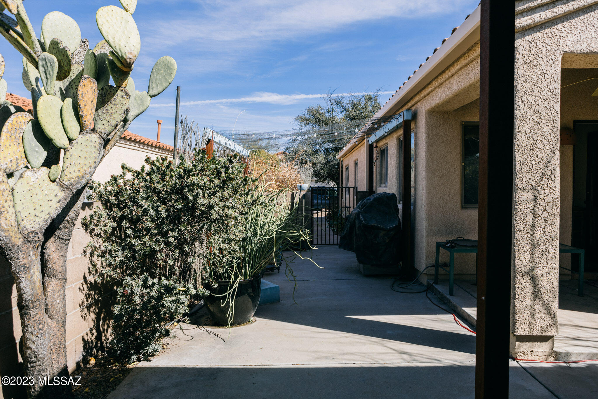 Pima Park (1-8) - Residential Lease