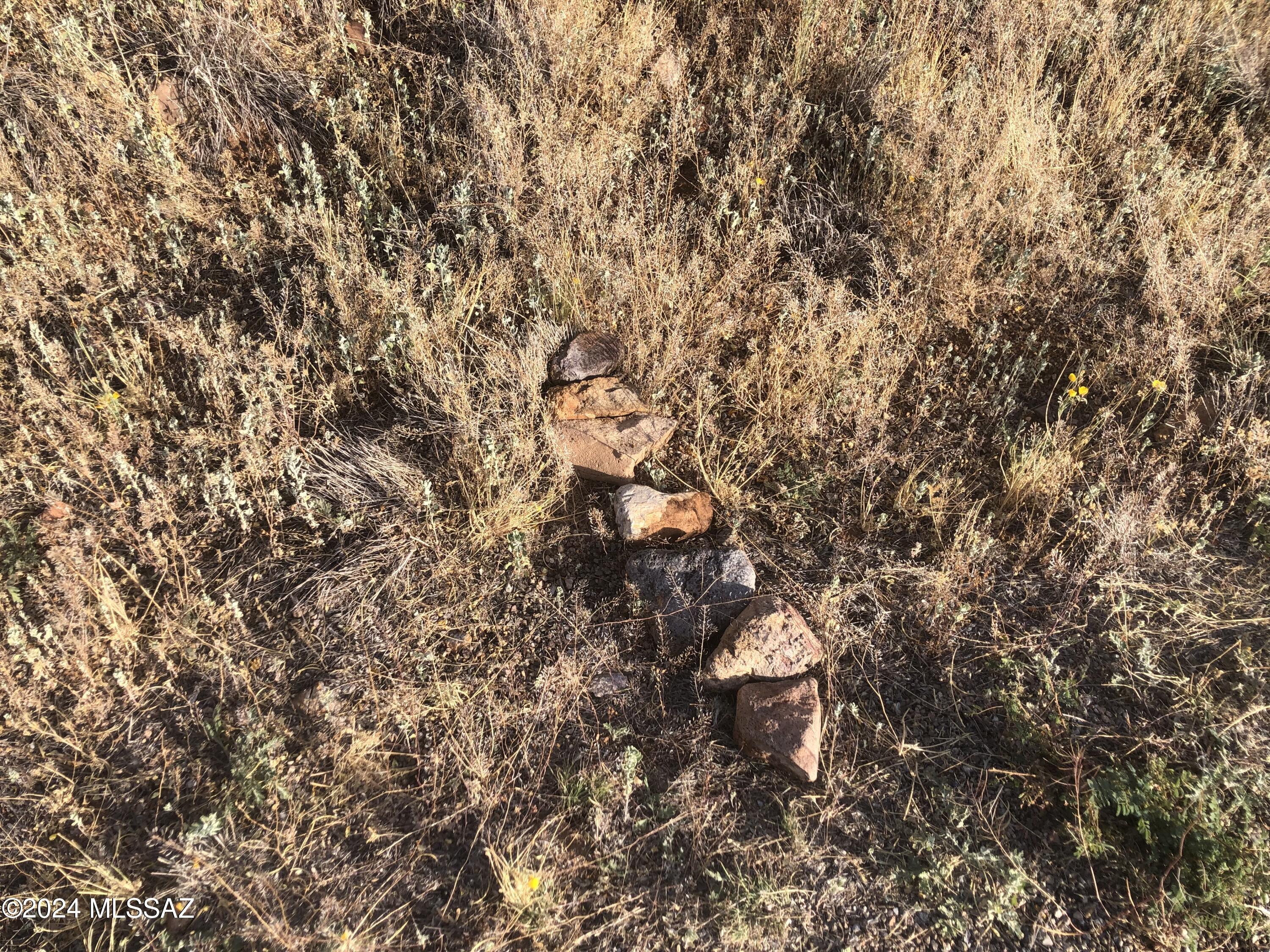 Rio Rico Estates 10 - Land