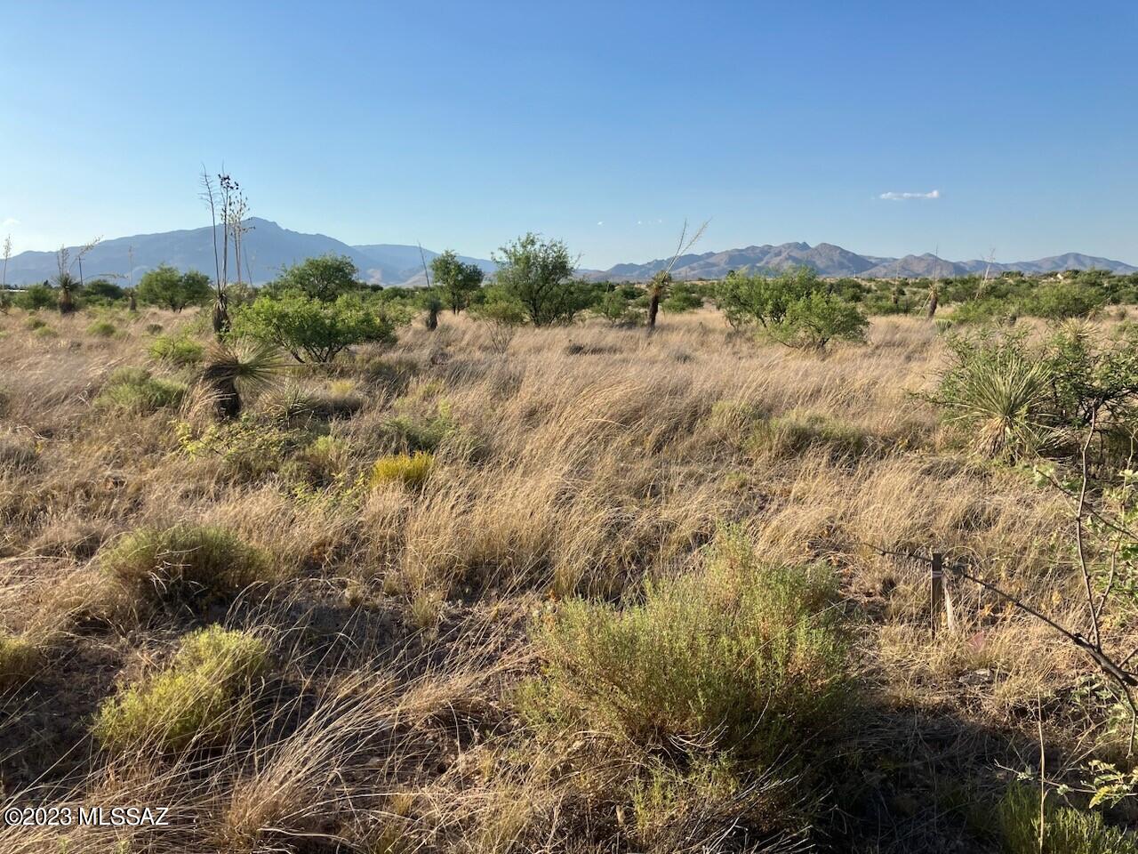Mescal Lakes - Land