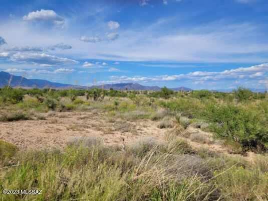 Mescal Lakes - Land