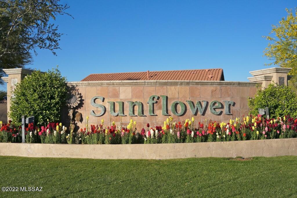 Continental Ranch Sunflower Phase V (557-729) - Residential