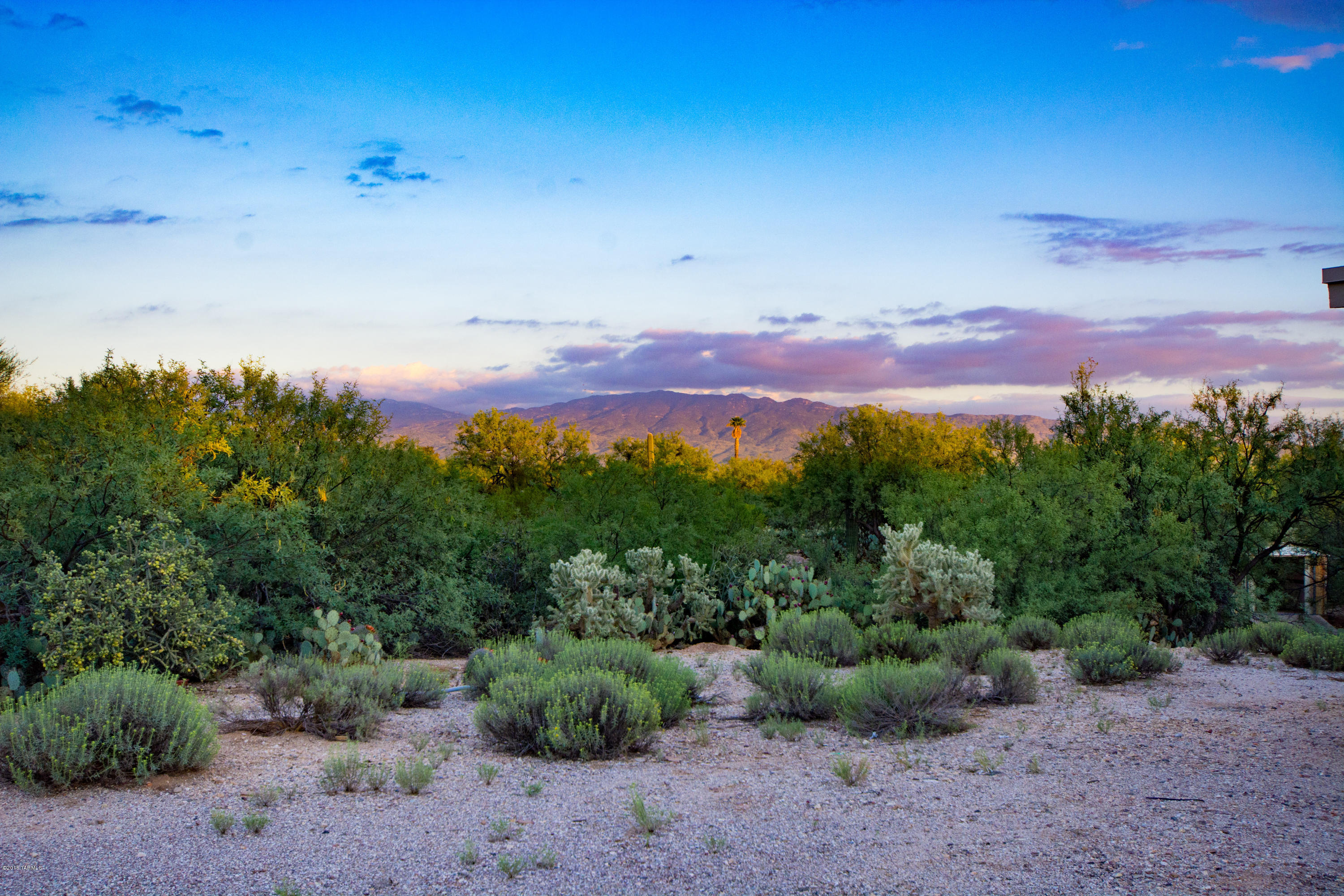 Catalina Valley  (54-114) - Residential