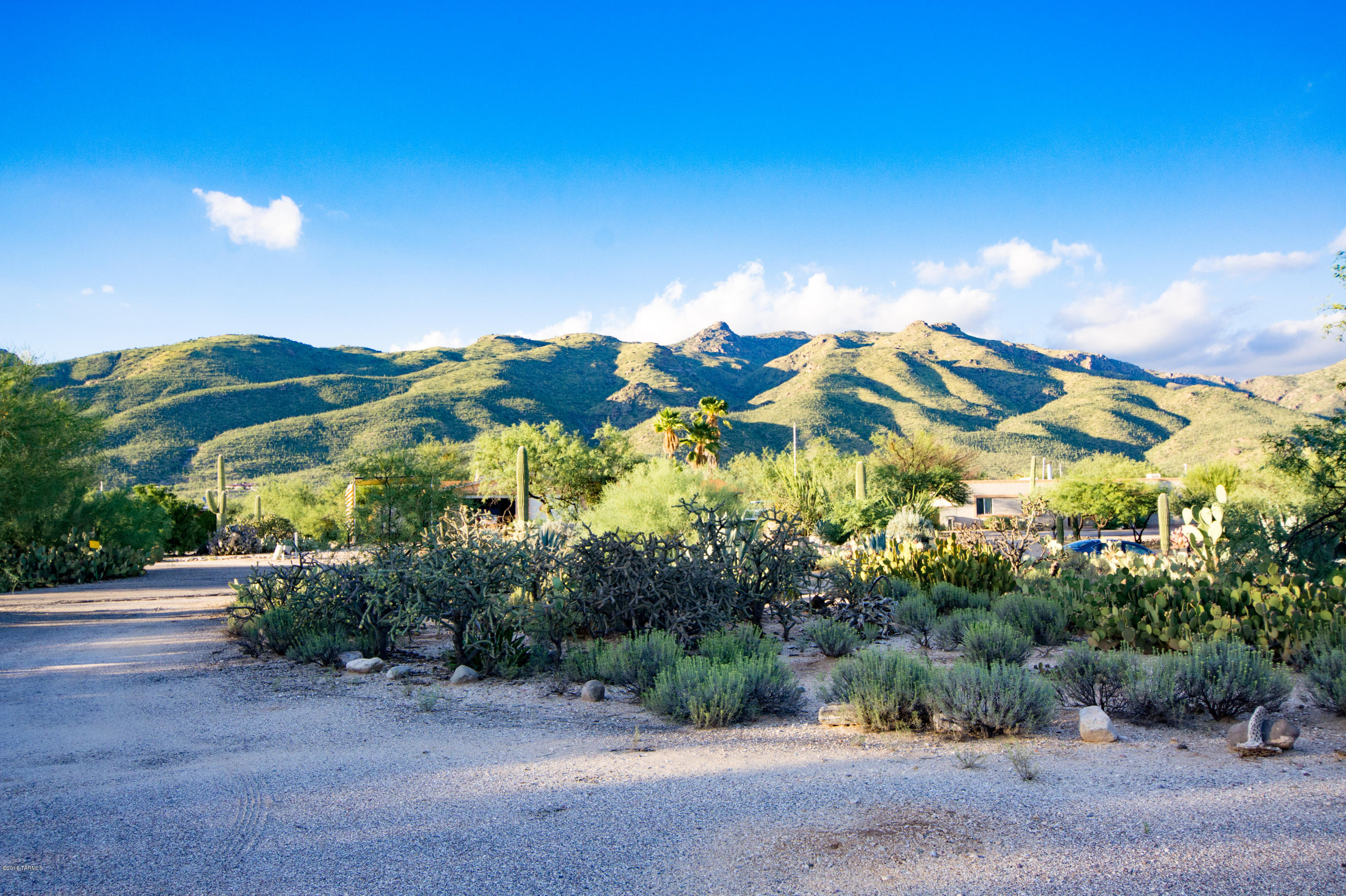 Catalina Valley  (54-114) - Residential