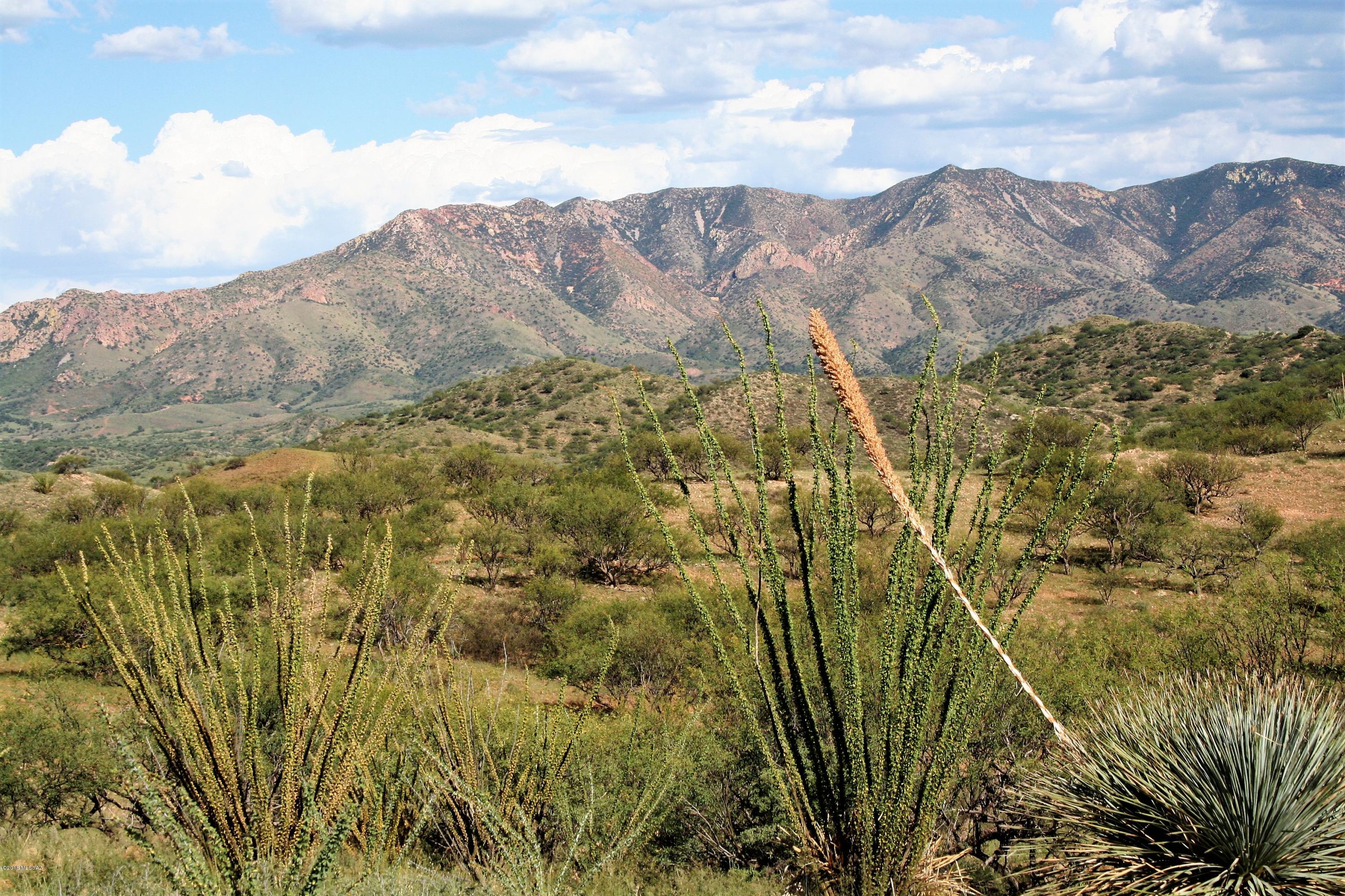 Lake Patagonia Ranch - Land