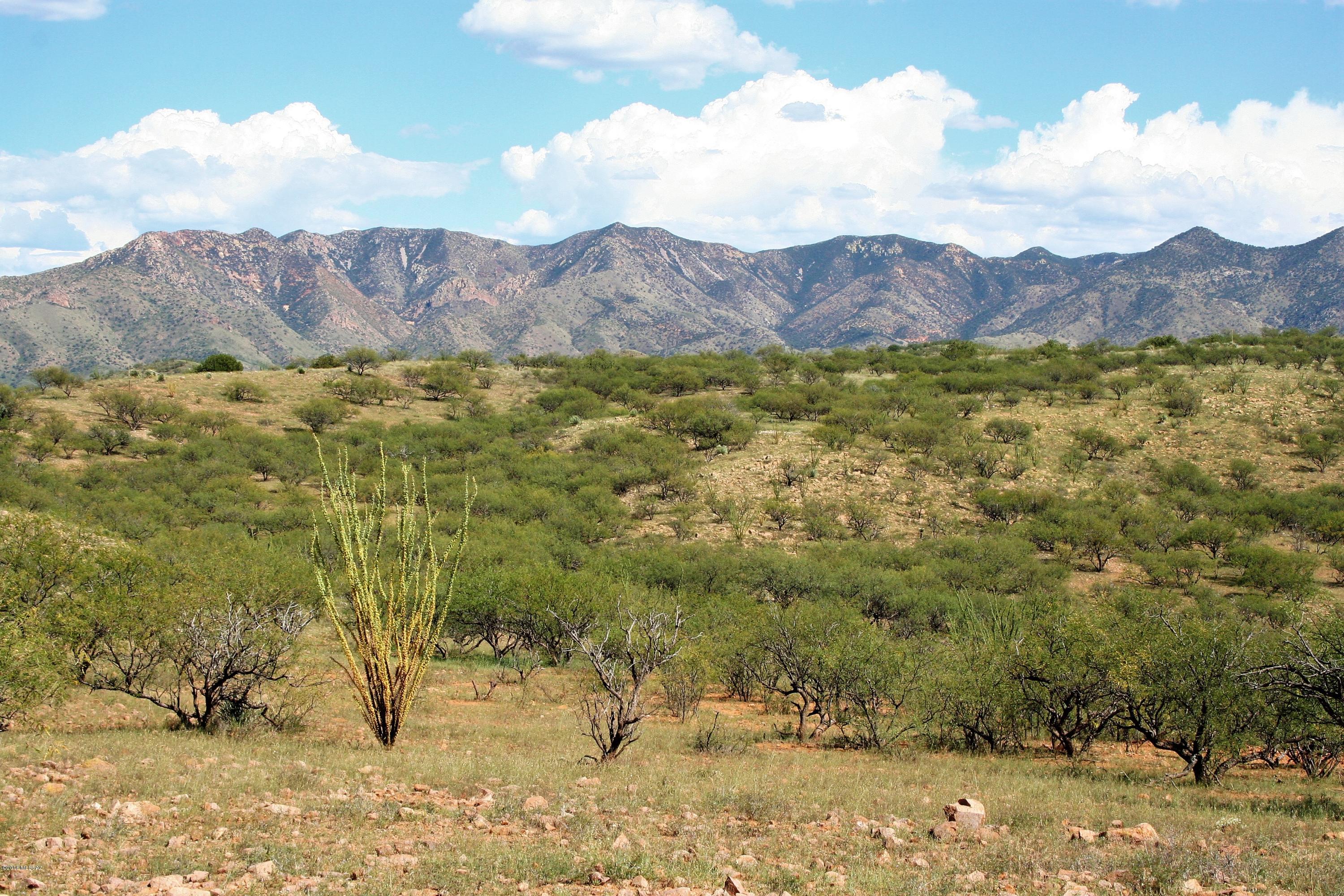 Lake Patagonia Ranch - Land