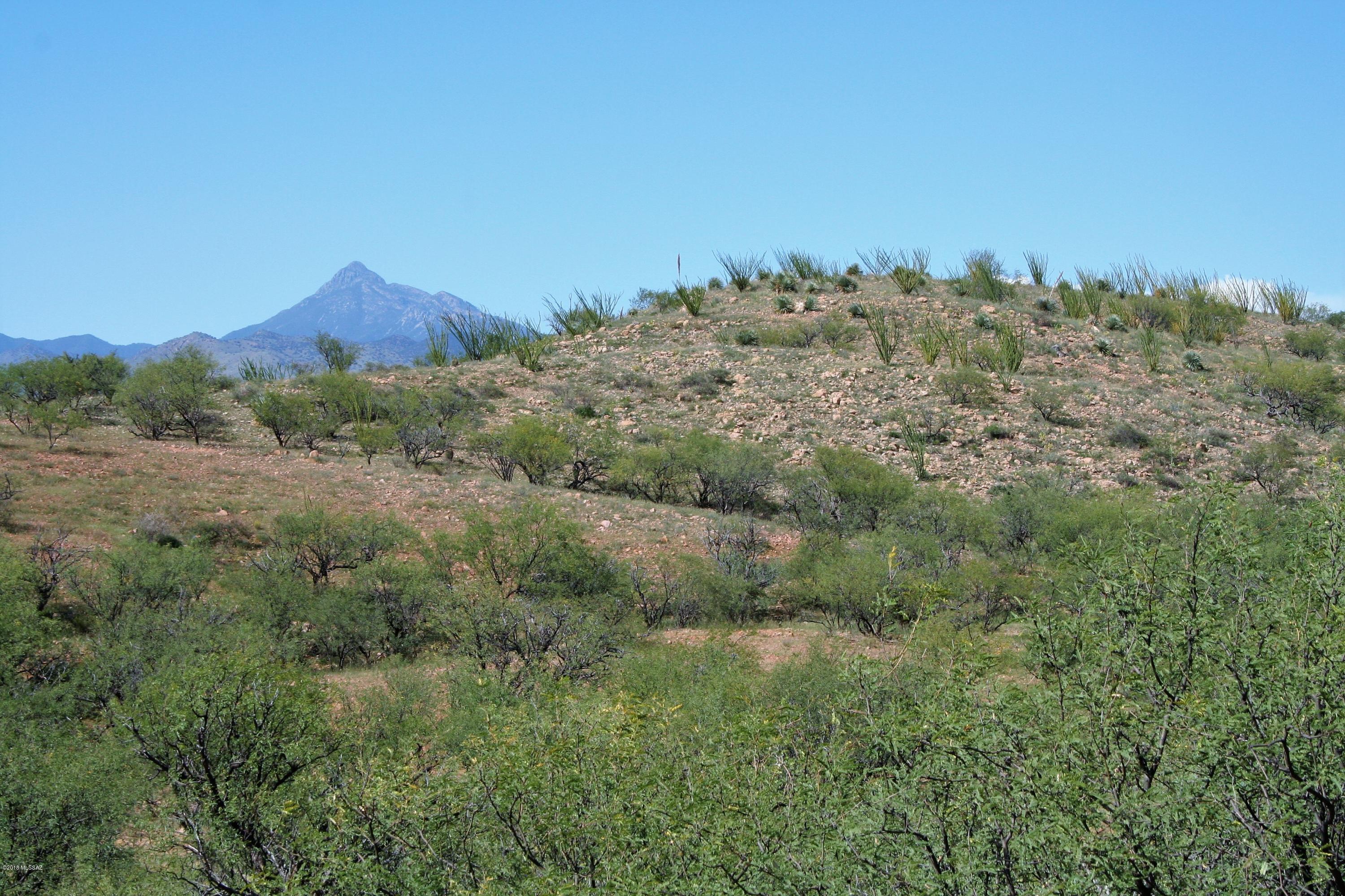 Lake Patagonia Ranch - Land