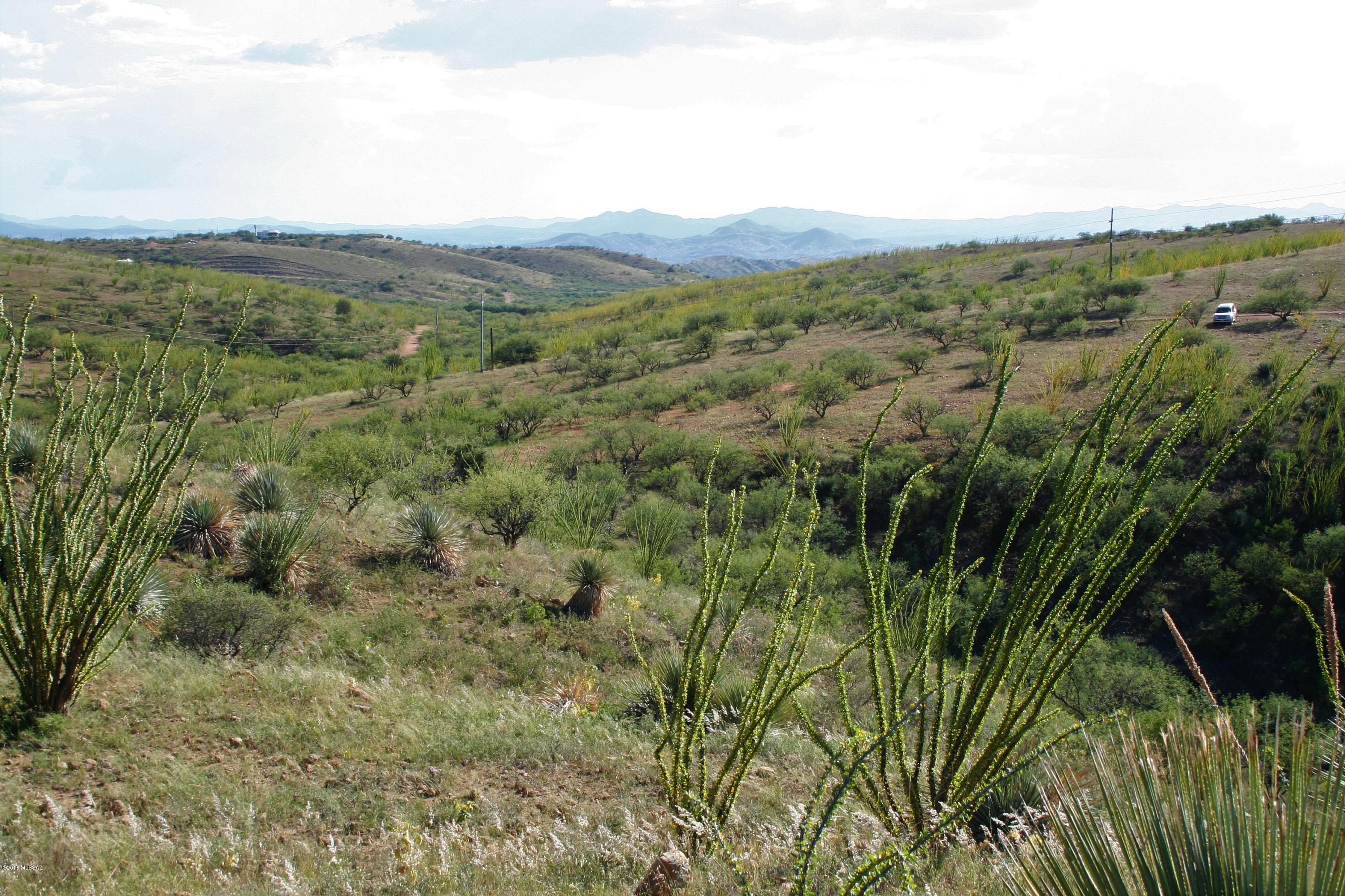 Lake Patagonia Ranch - Land