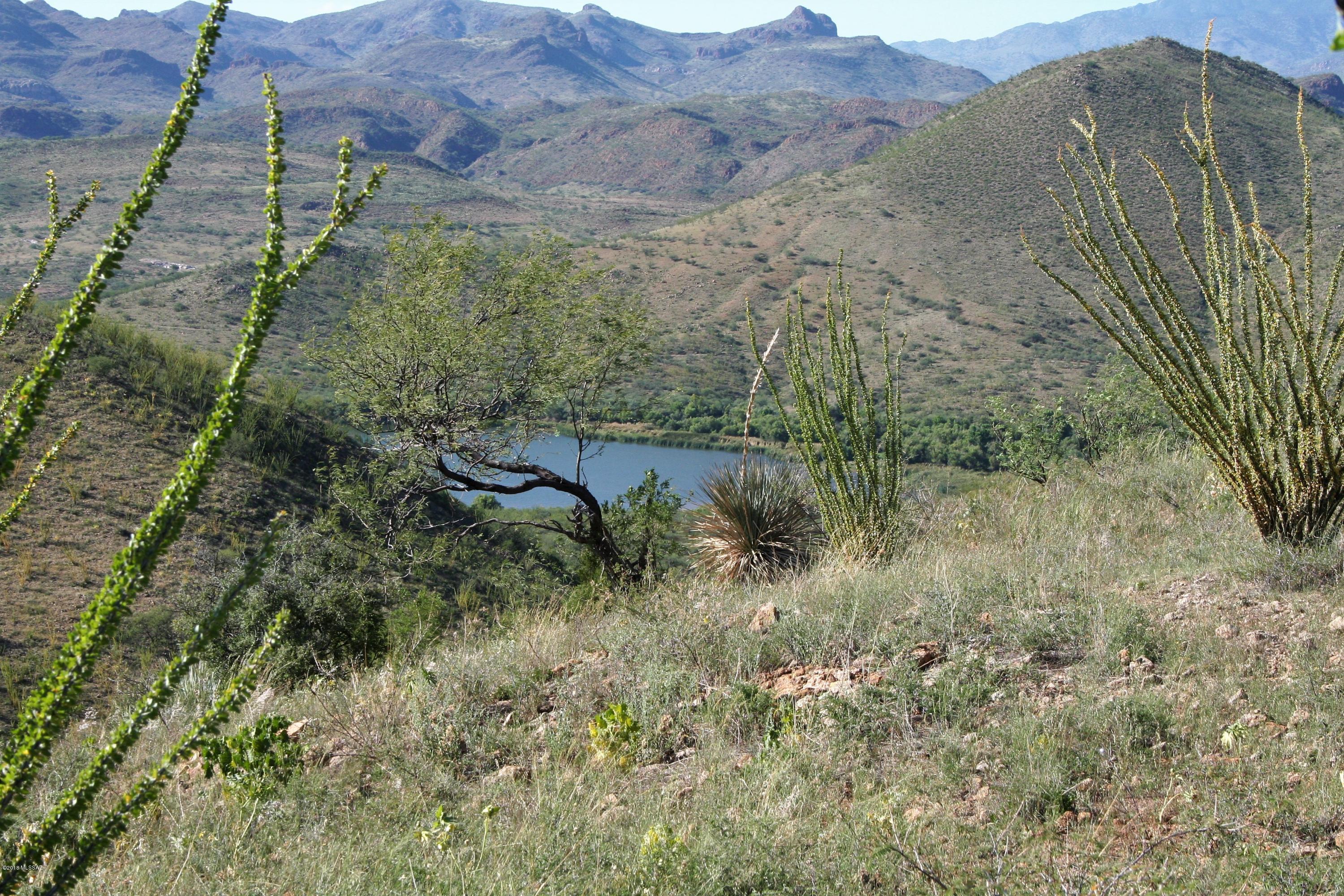 Lake Patagonia Ranch - Land