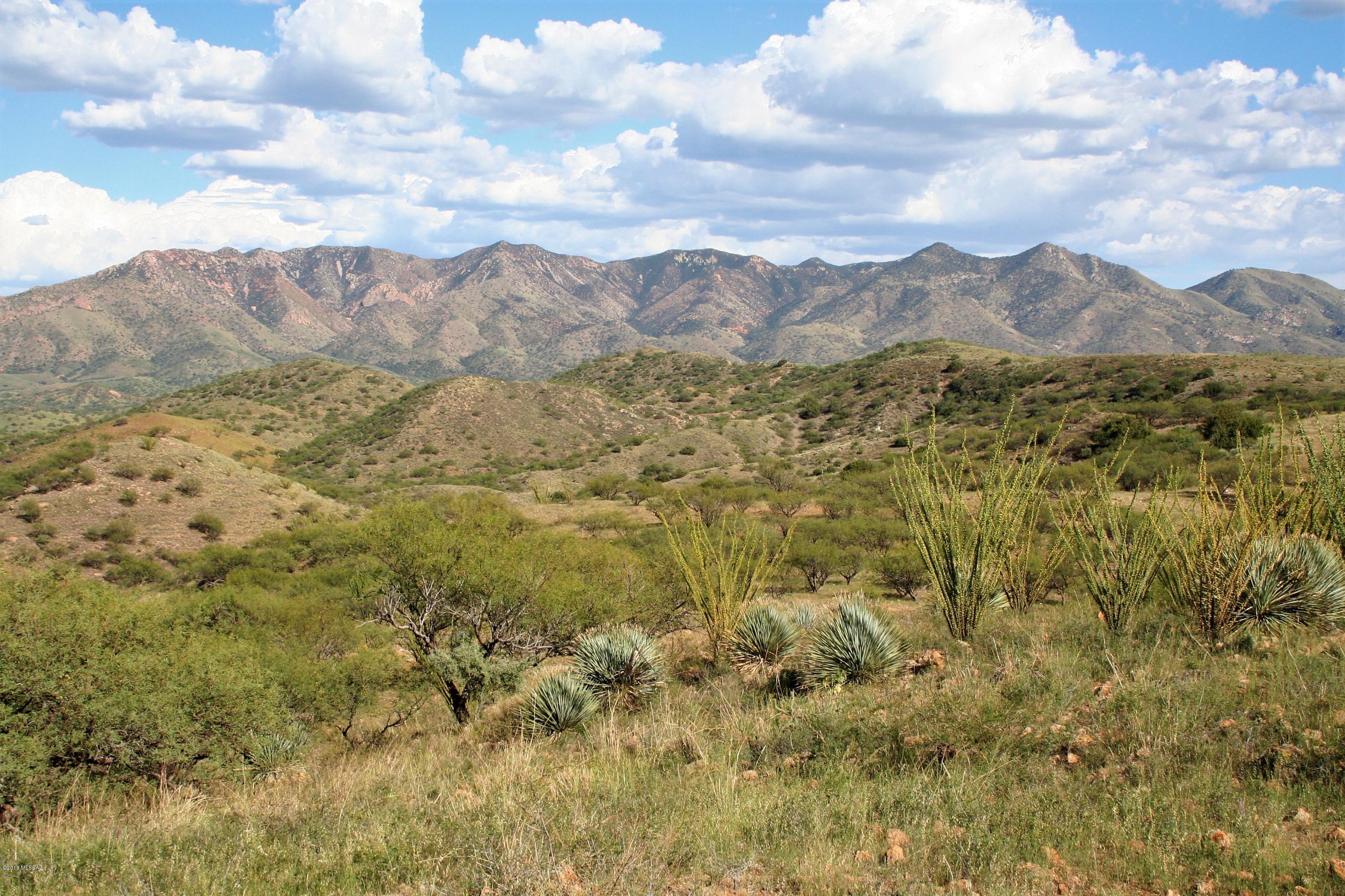 Lake Patagonia Ranch - Land