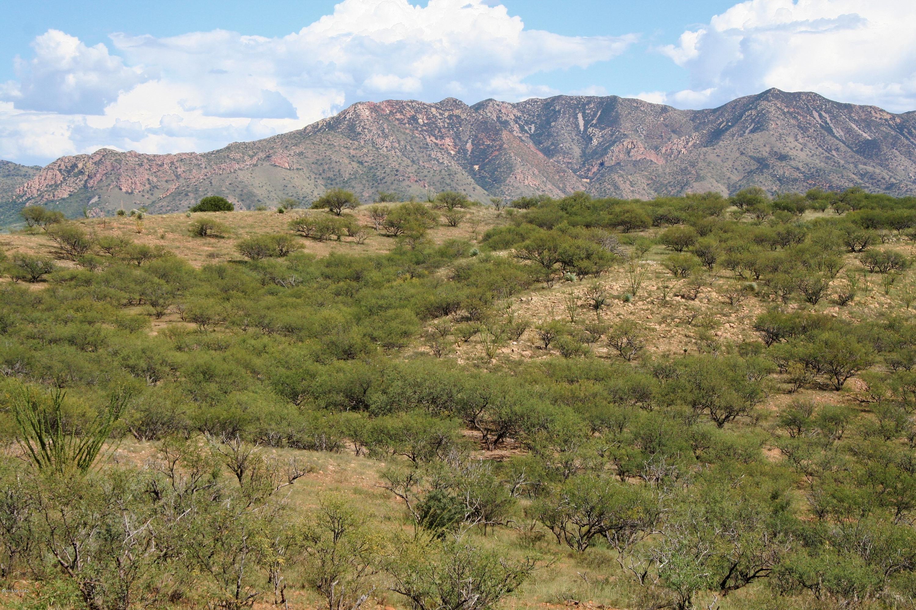 Lake Patagonia Ranch - Land