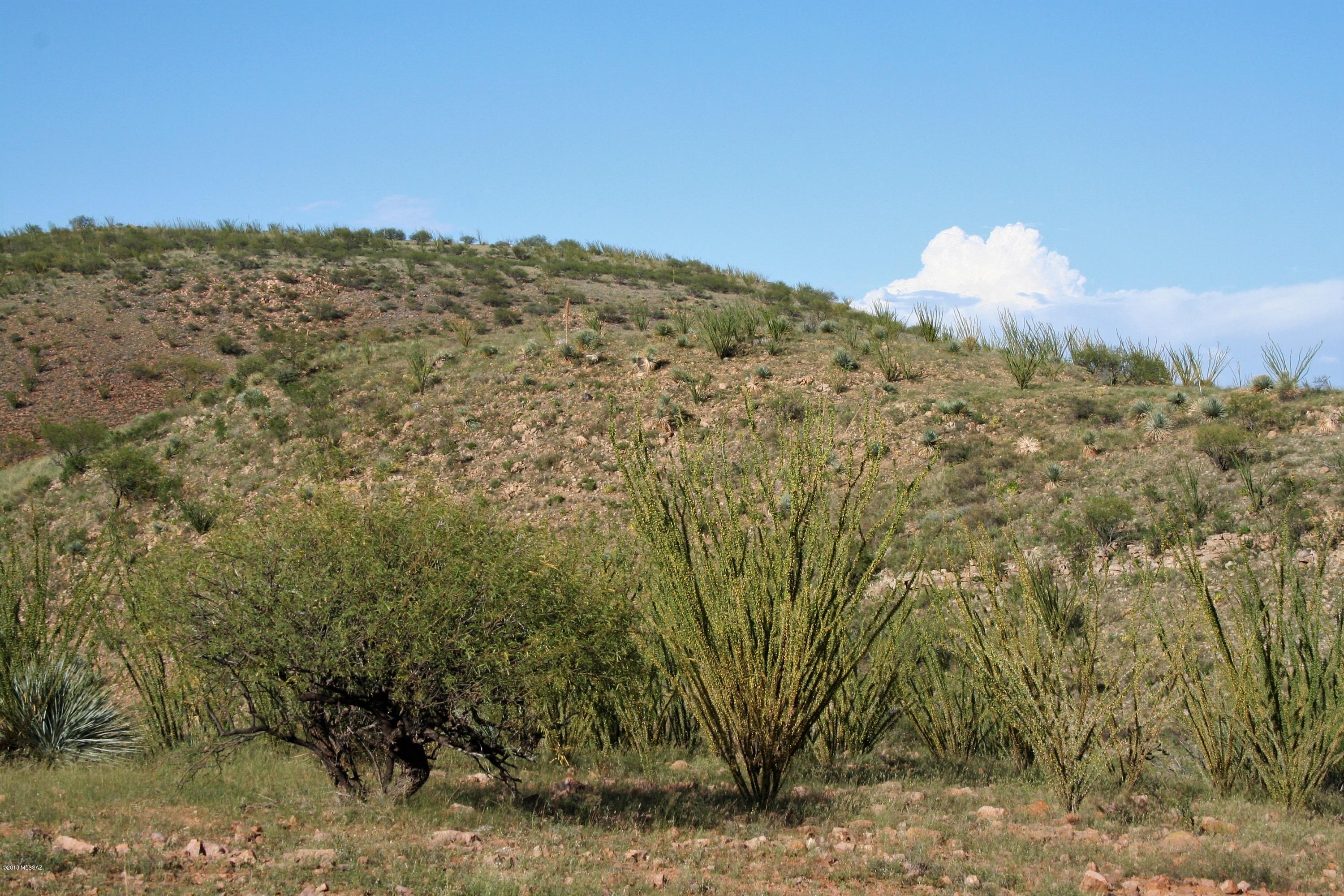 Lake Patagonia Ranch - Land