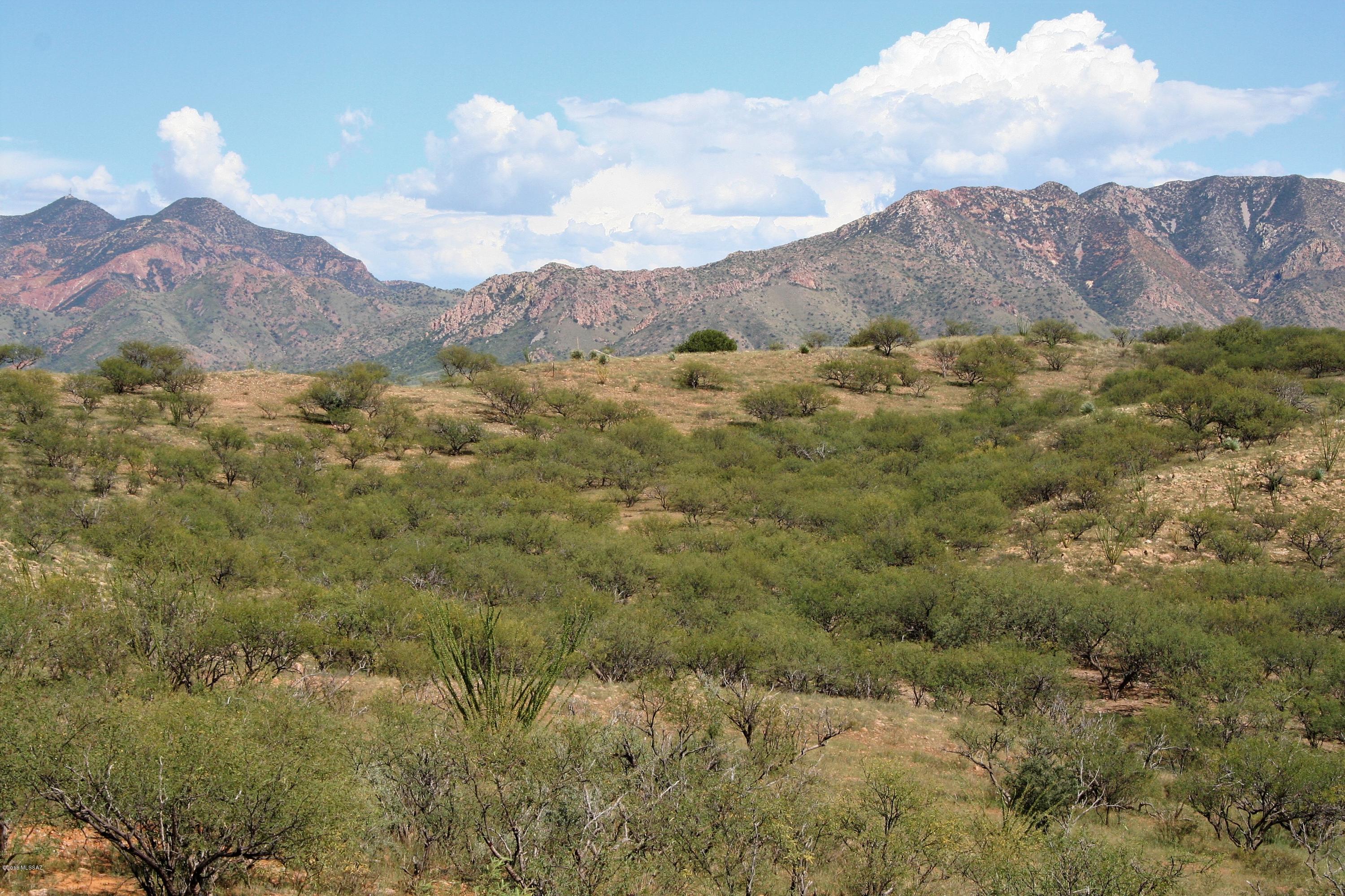 Lake Patagonia Ranch - Land