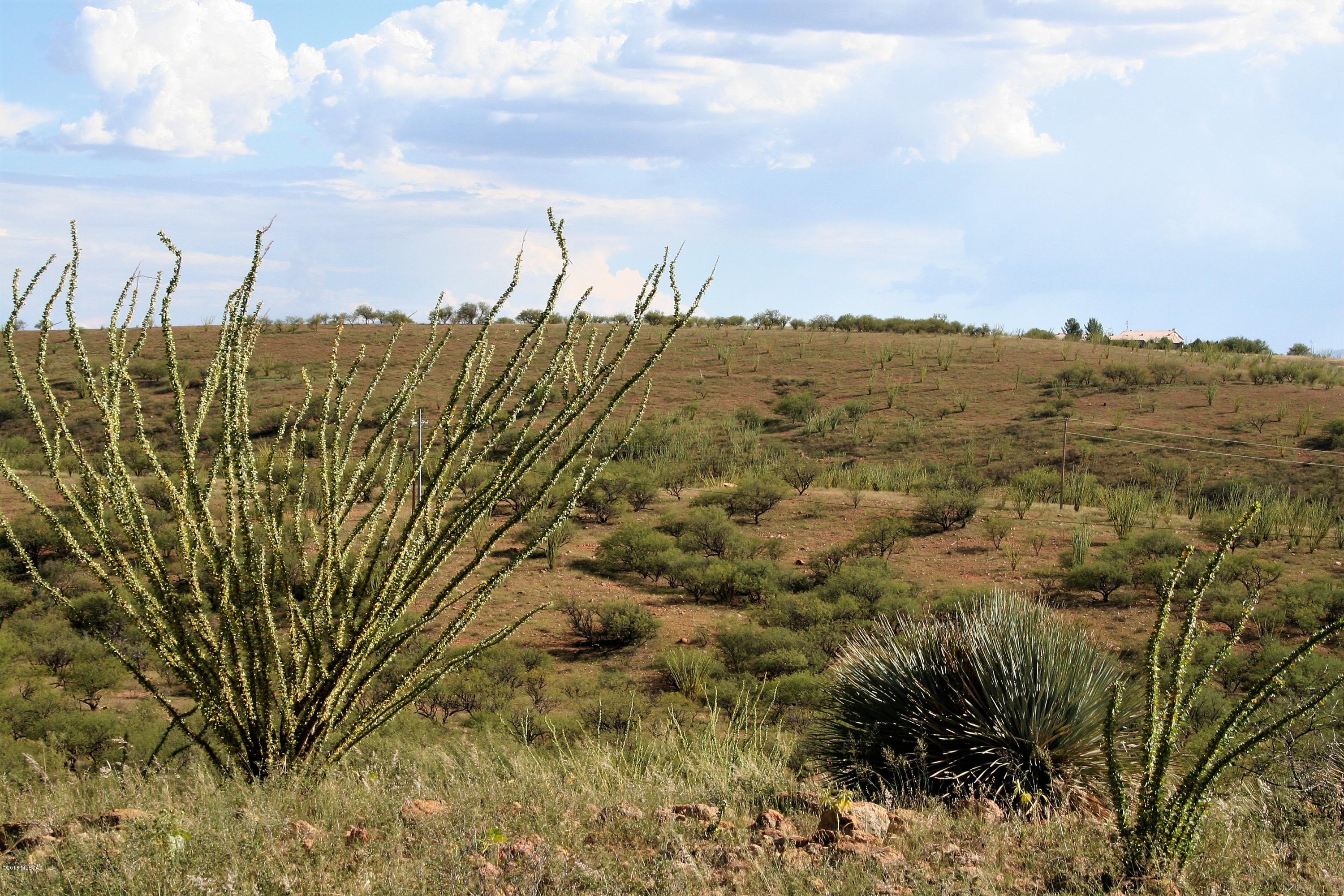 Lake Patagonia Ranch - Land