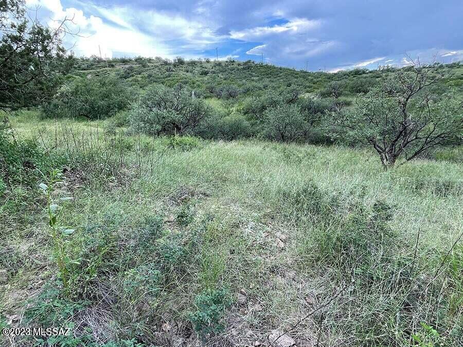 Rio Rico Ranchettes 14 - Land