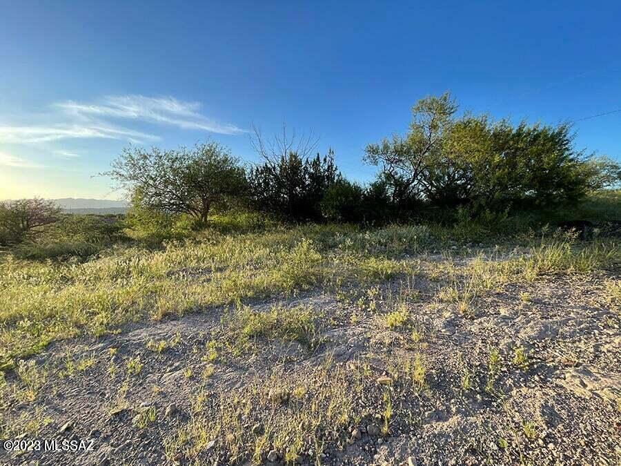 Rio Rico Ranchettes 14 - Land