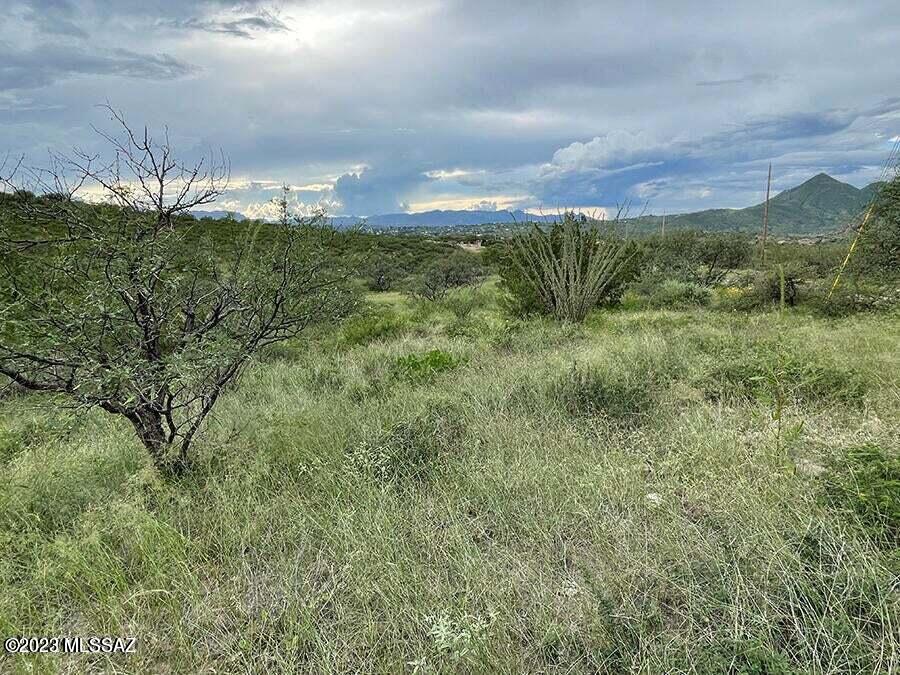 Rio Rico Ranchettes 14 - Land