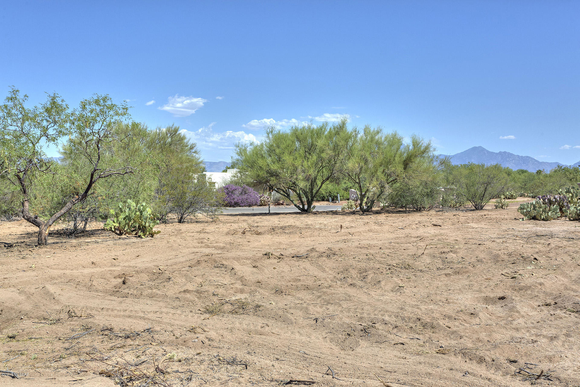 Rancho Buena Vista (30-69) - Land